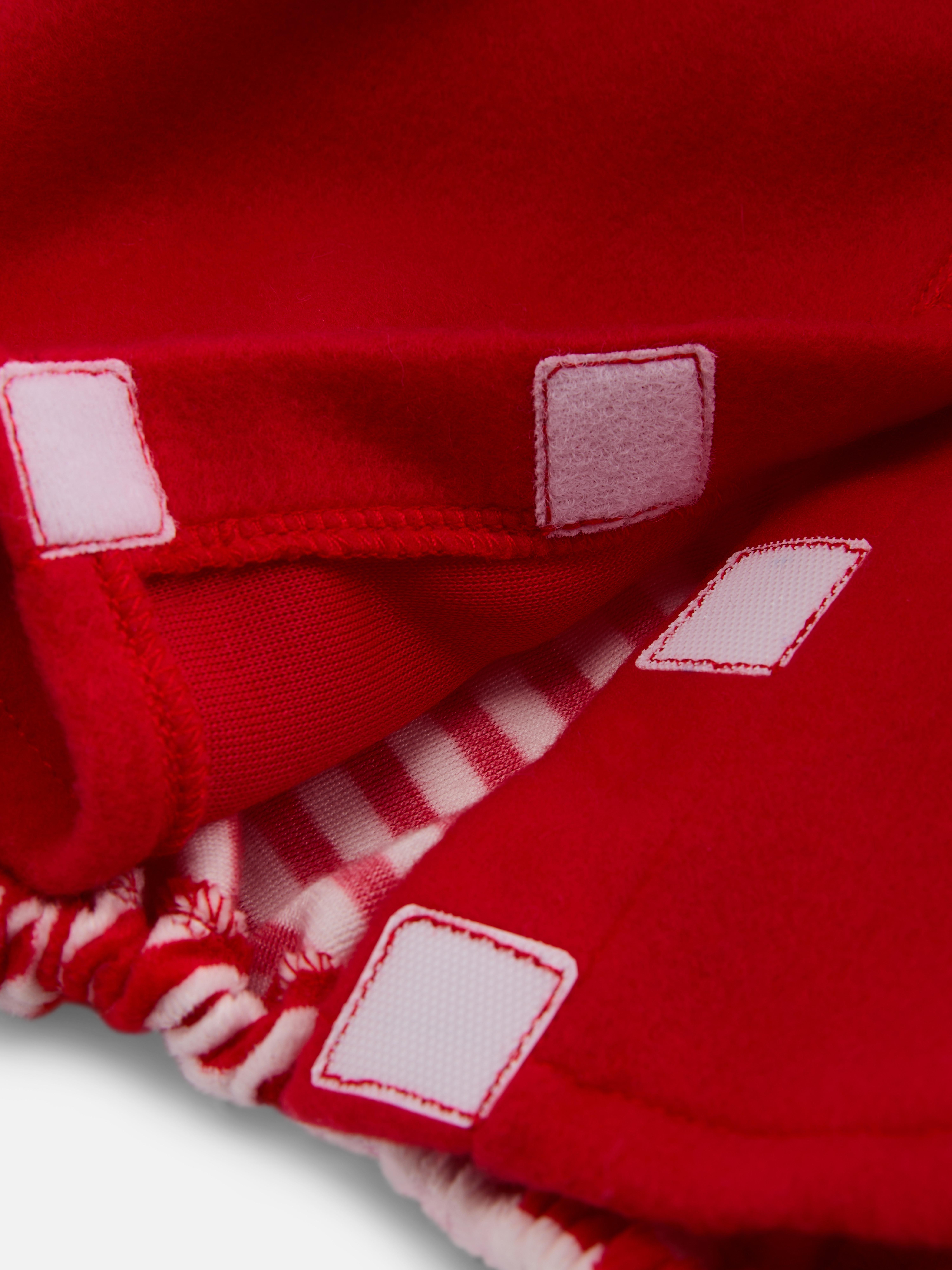 Santa Claus Pet Outfit