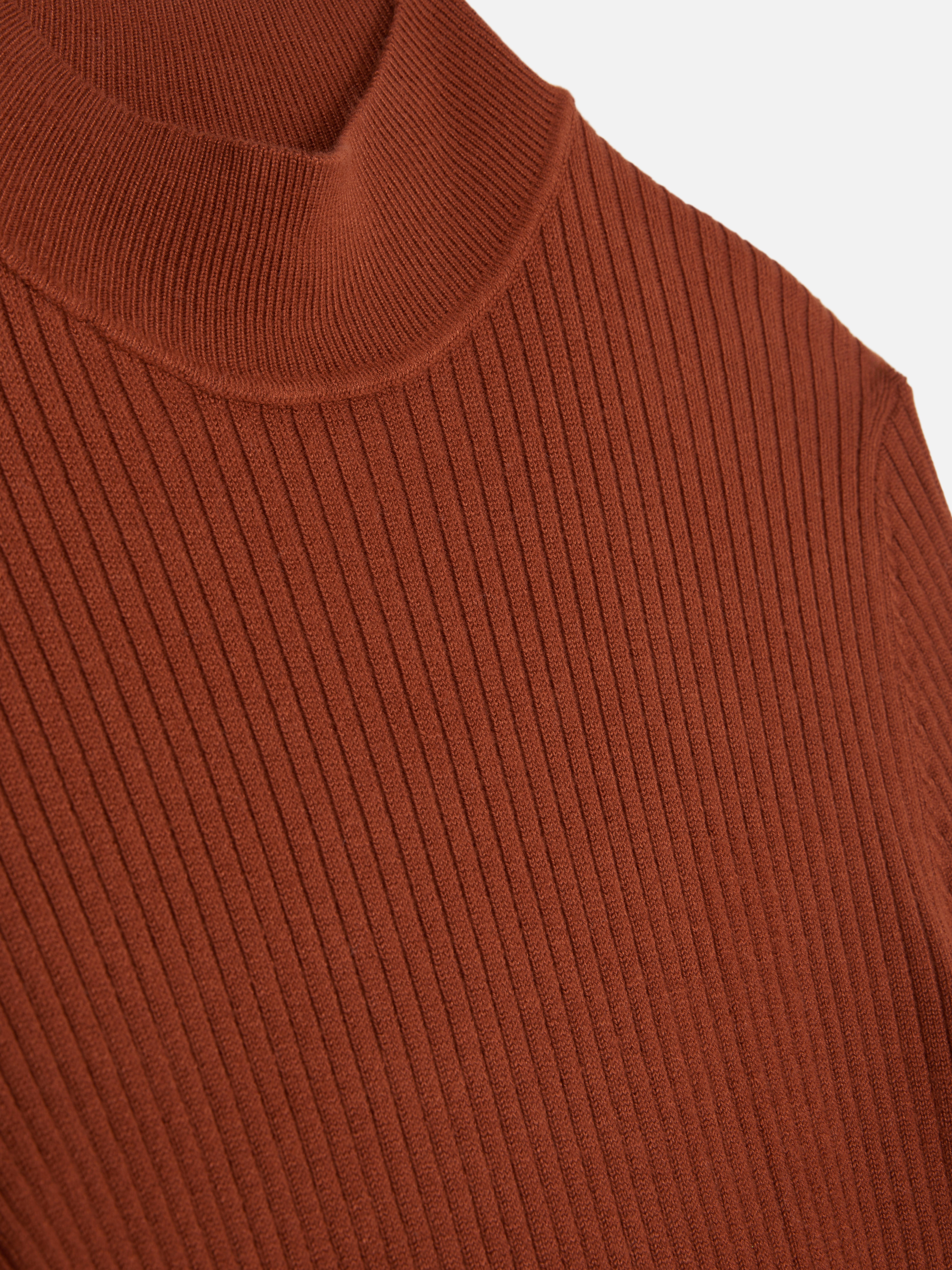 Ribbed Turtleneck Sweater
