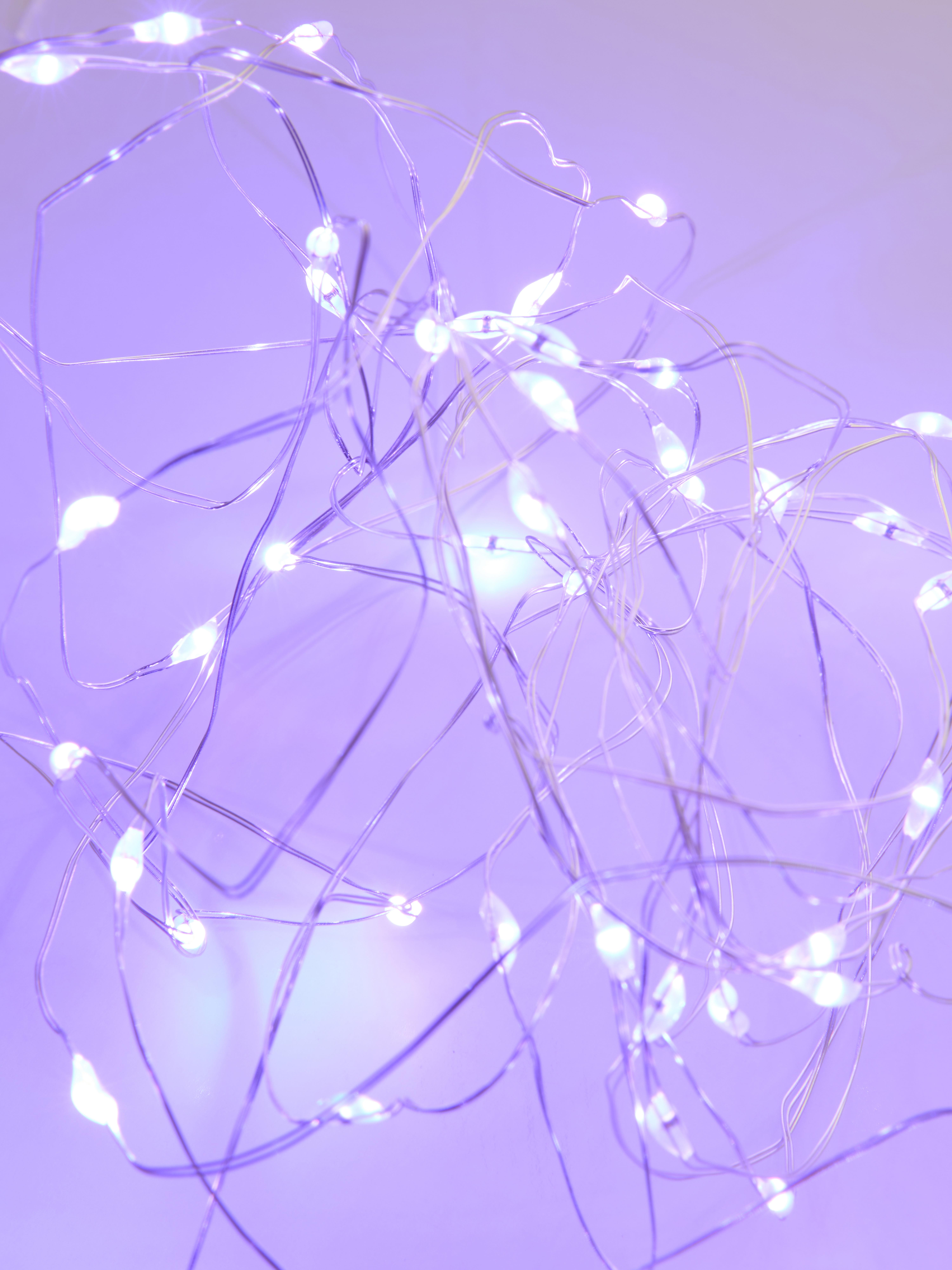 50pk Firefly String Lights