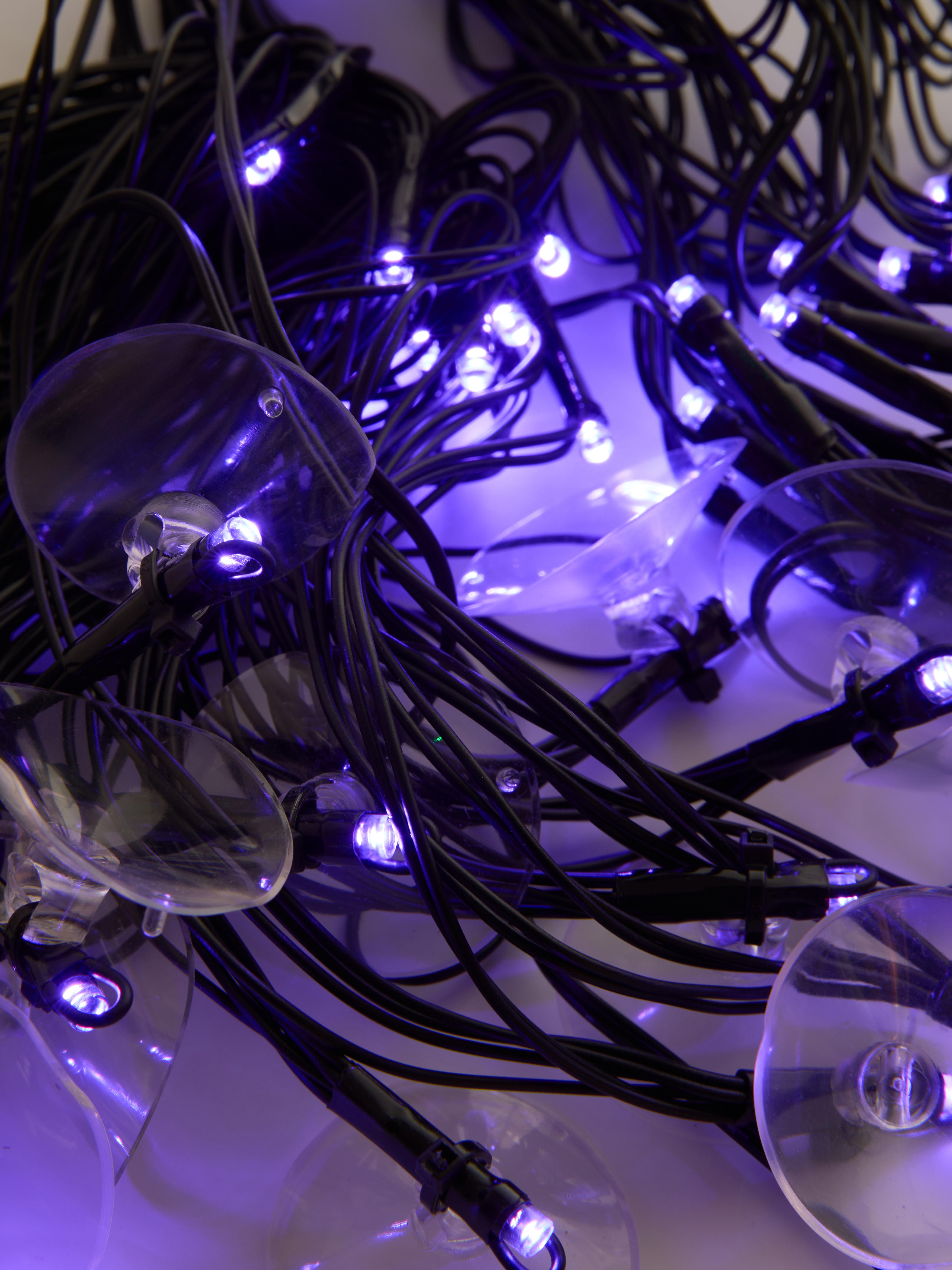 Spider Web LED Window Lights