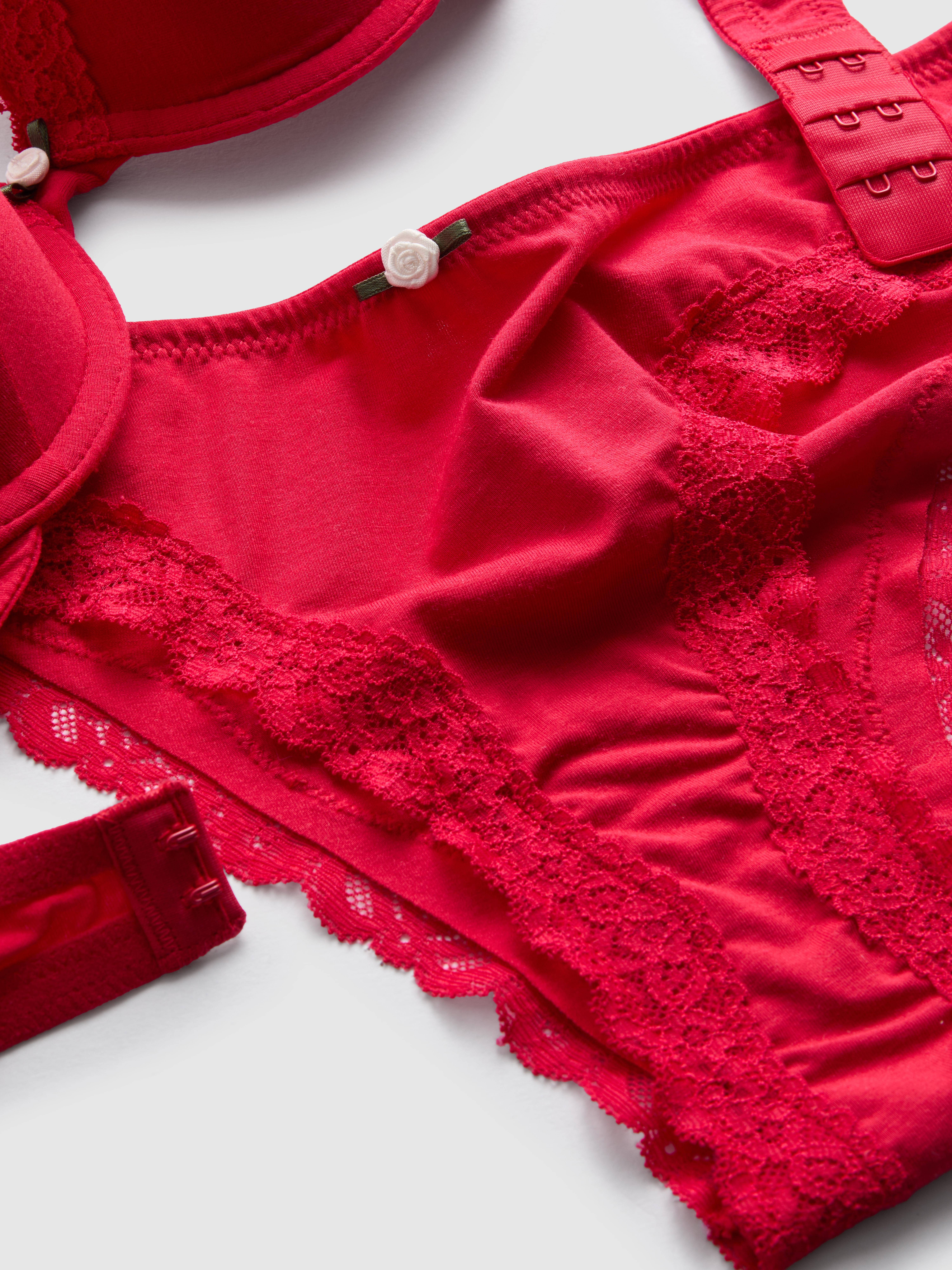 Lace Trim Push Up Bra and Brazilian Briefs Set