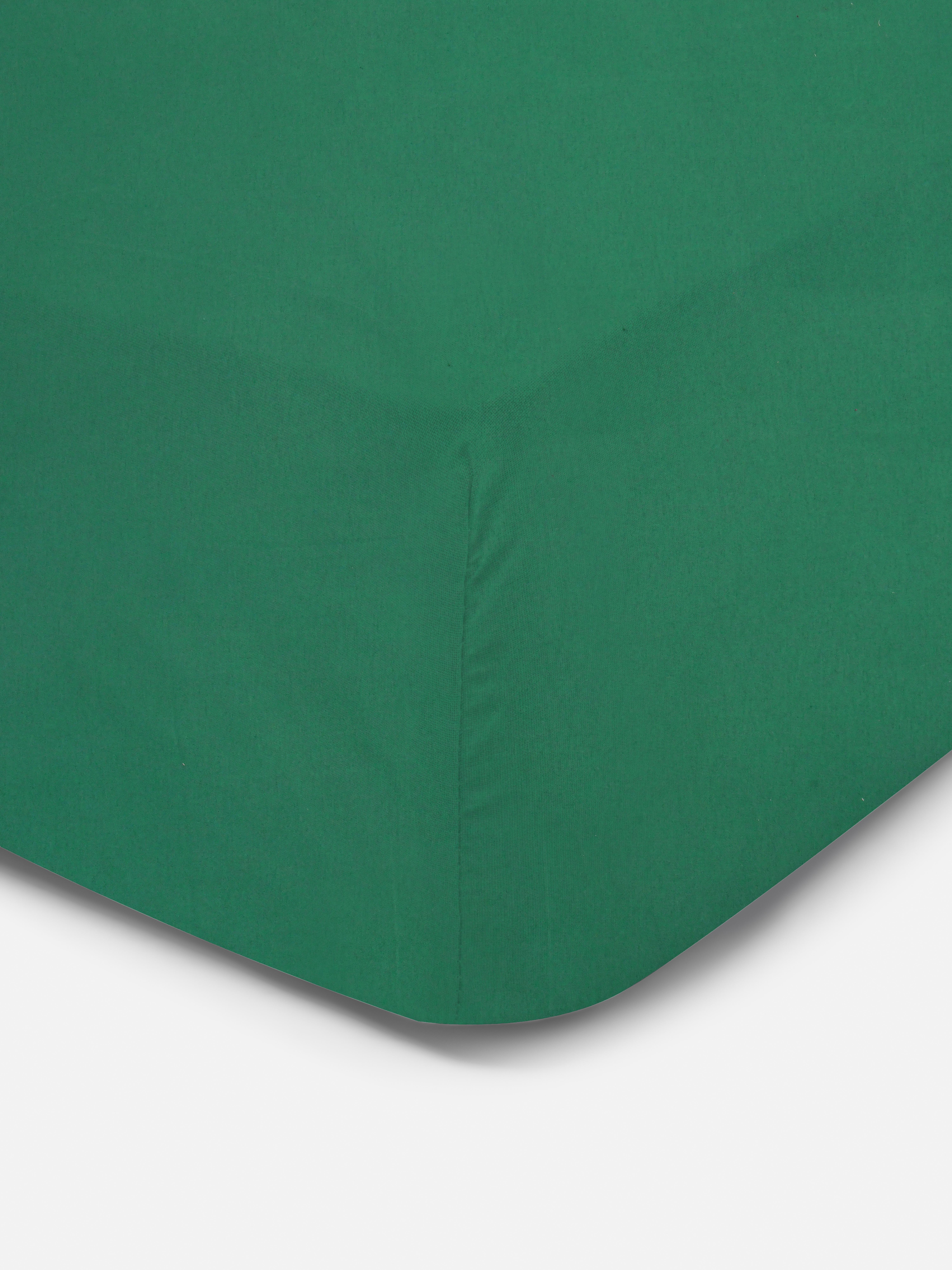 Single Fitted Sheet