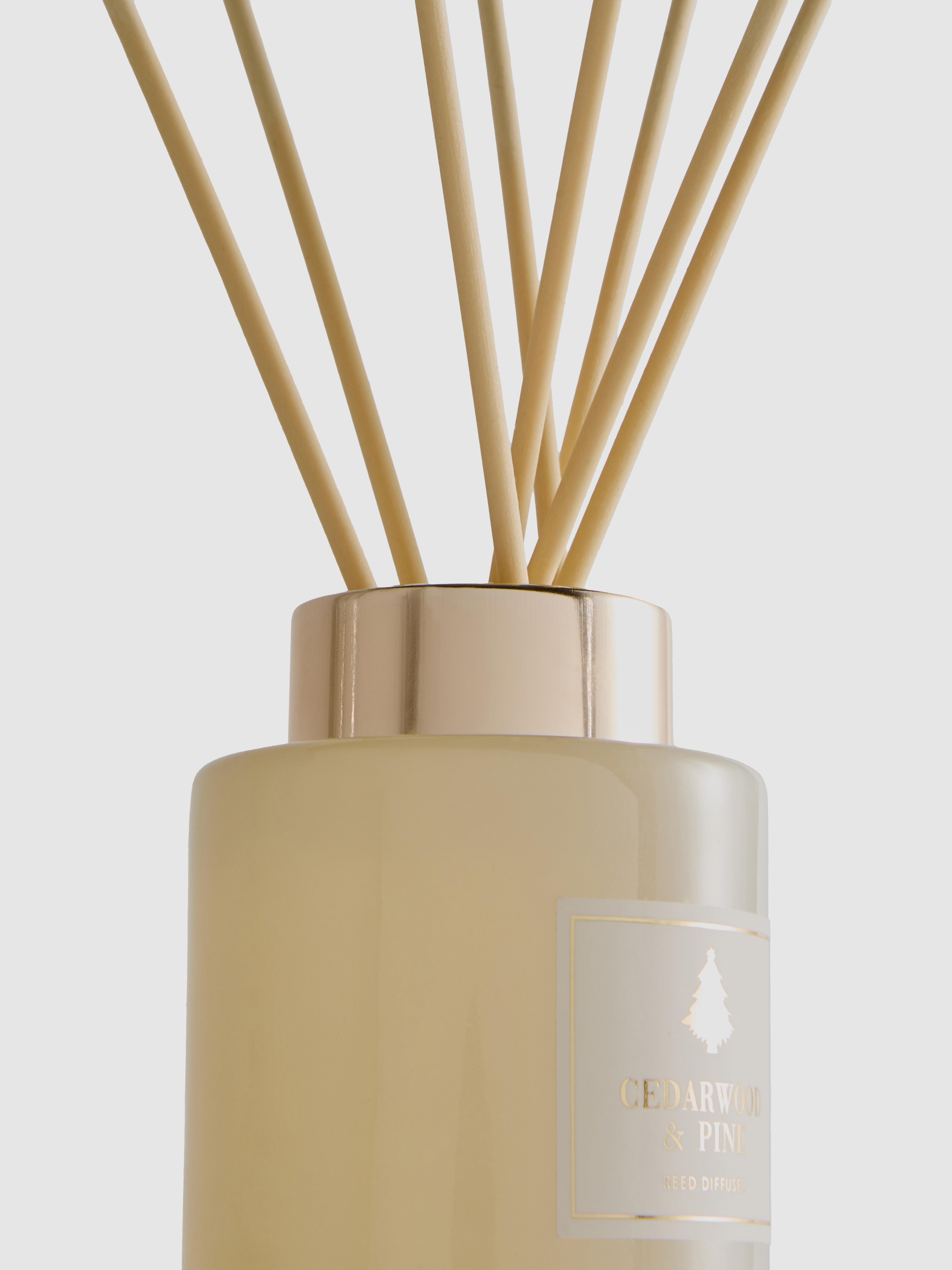 Scented Reed Diffuser In Festive Jar