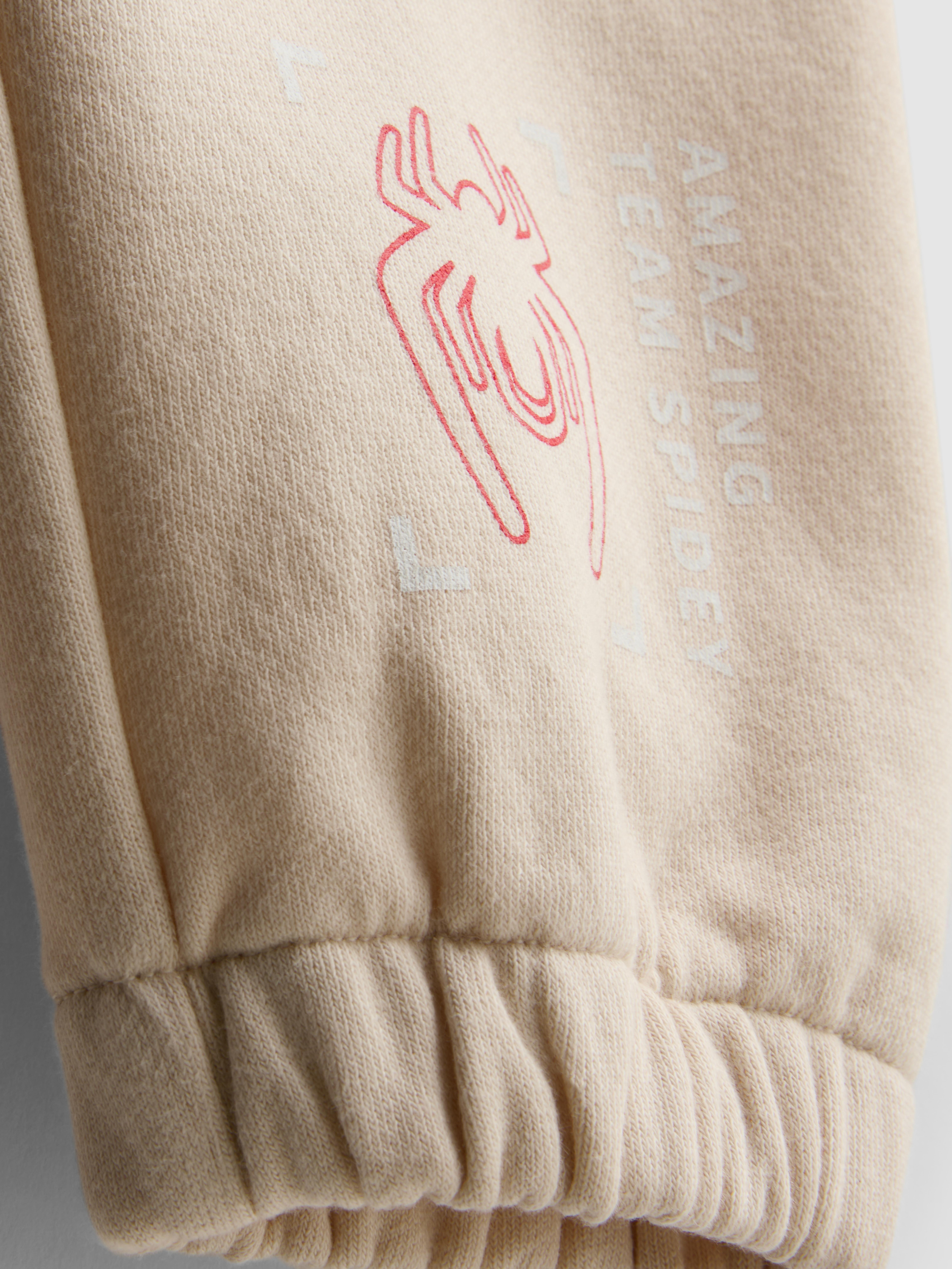 1,5–8 Jahre | „Marvel Spider-Man“ Sweatshirt mit Dinomotiv und Jogginghose