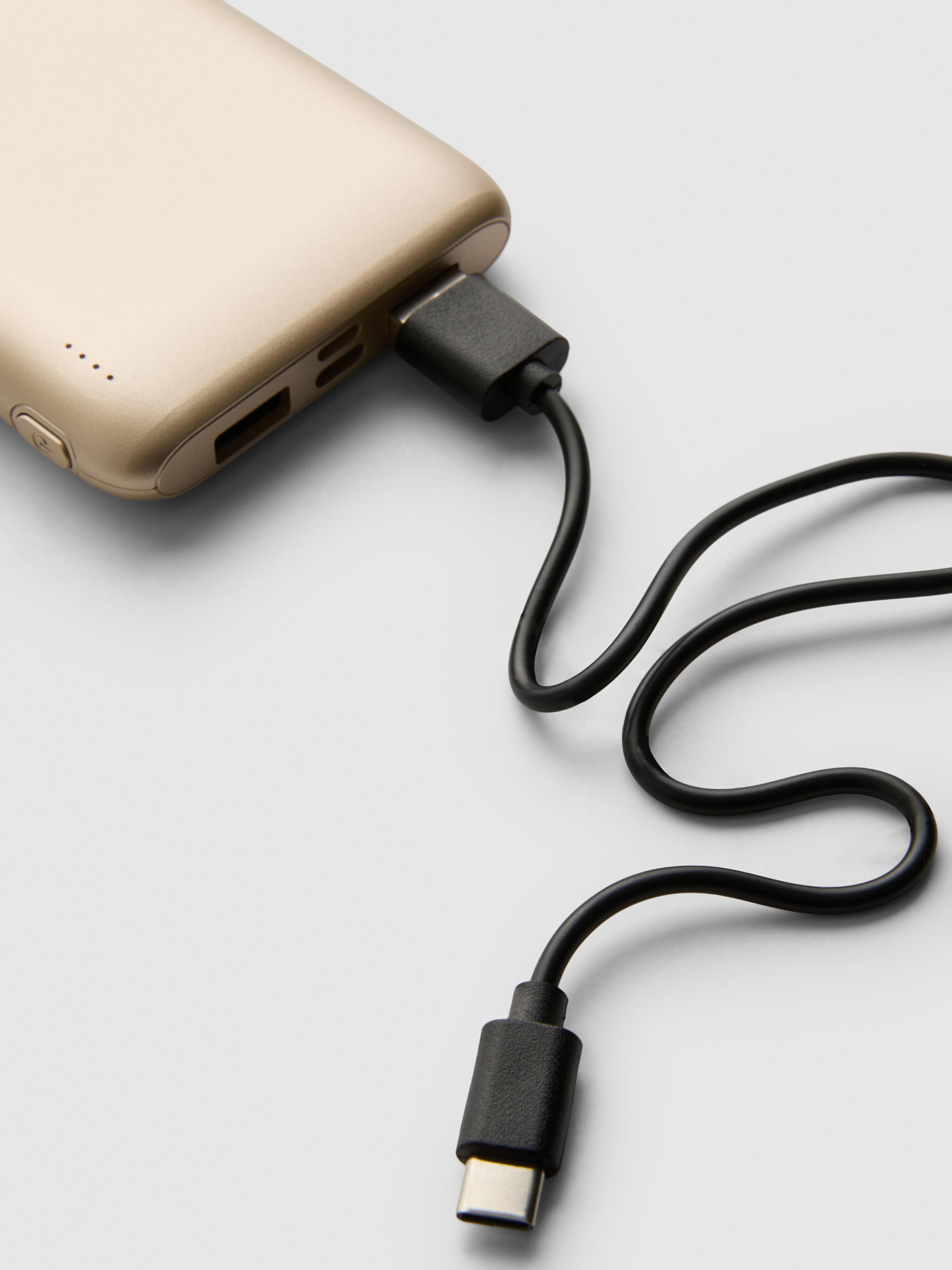 10000mAh Travel Power Bank