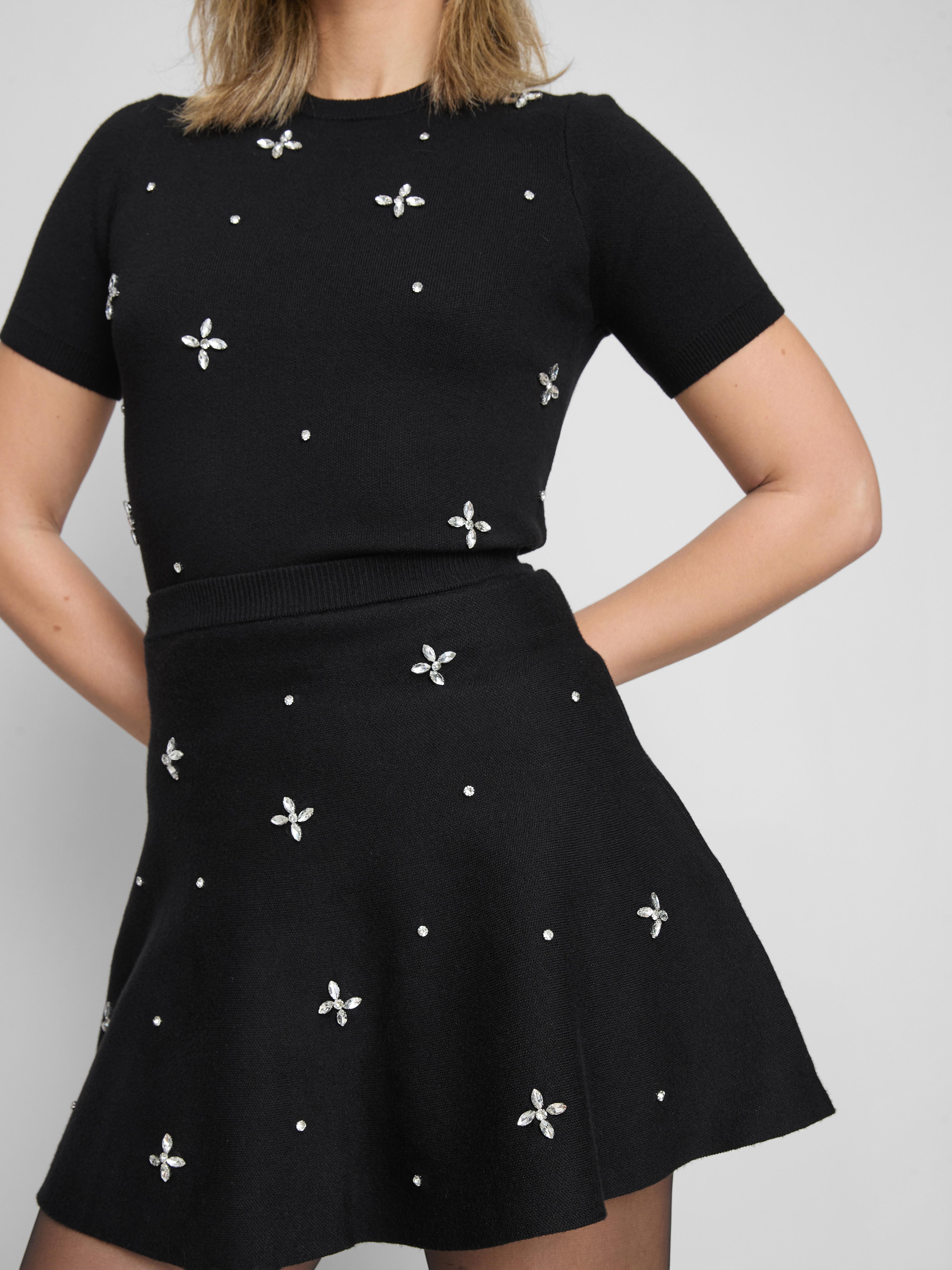 Embroidered Mini Skater Skirt