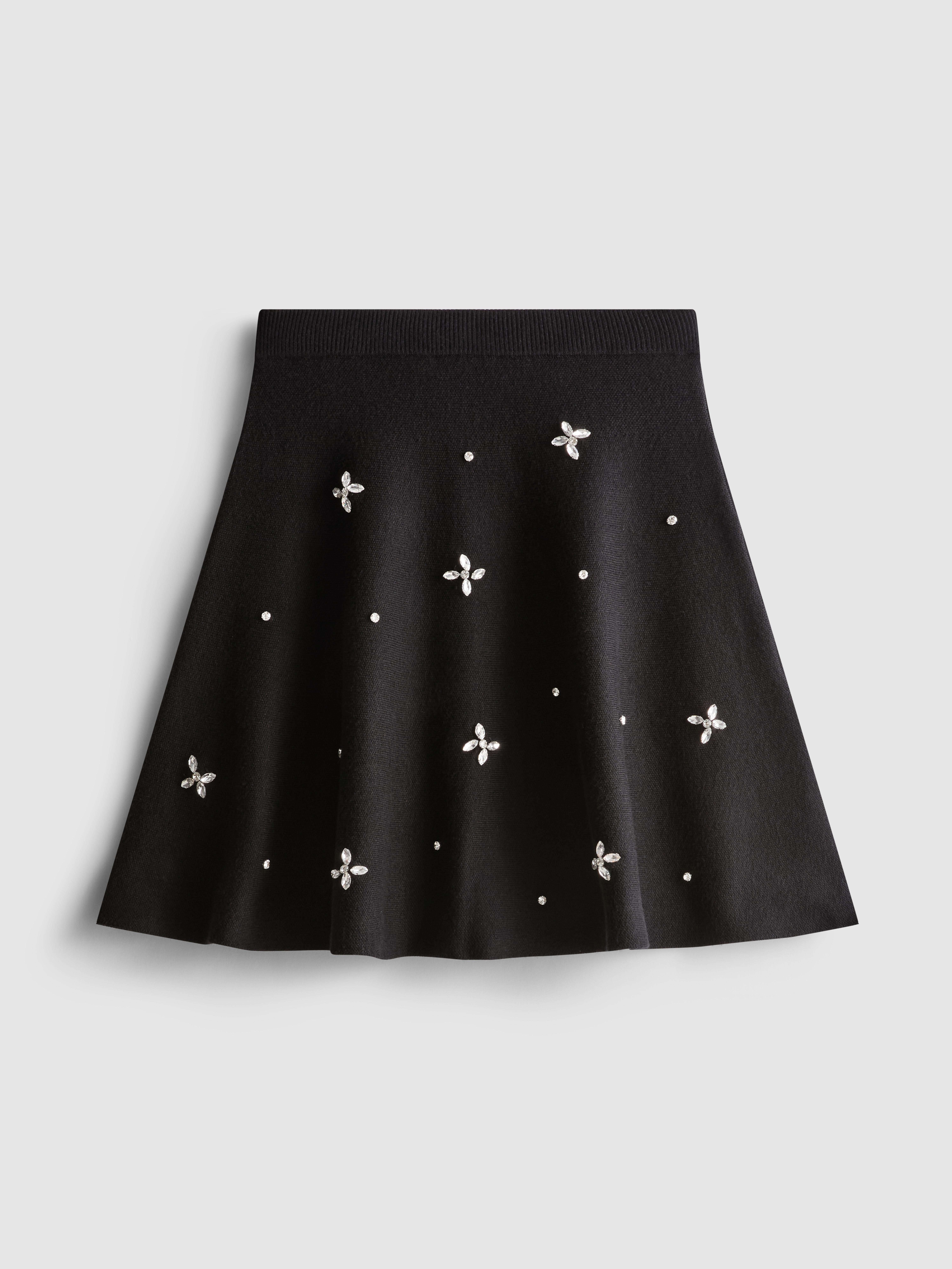 Embroidered Mini Skater Skirt