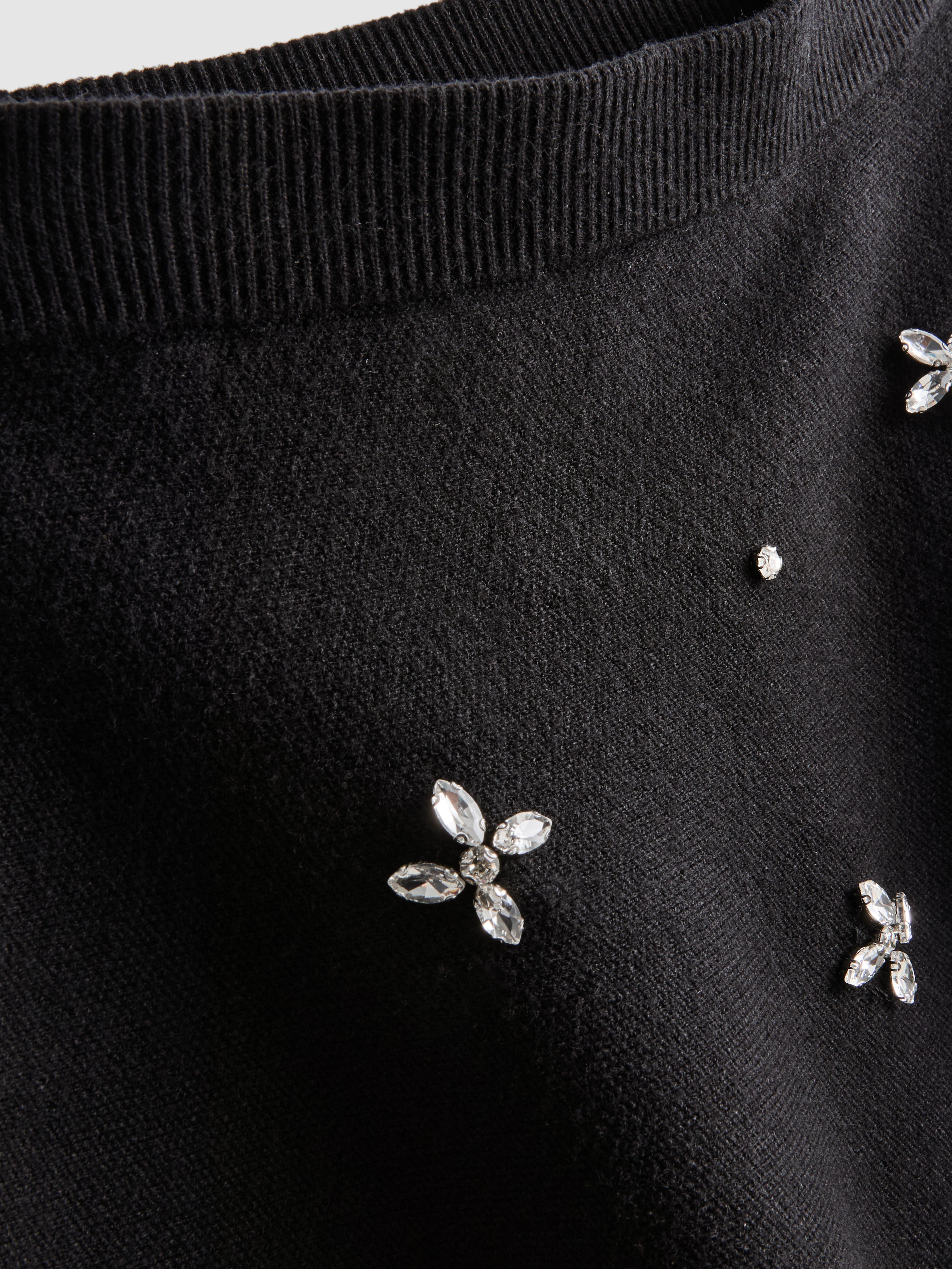 Embroidered Mini Skater Skirt