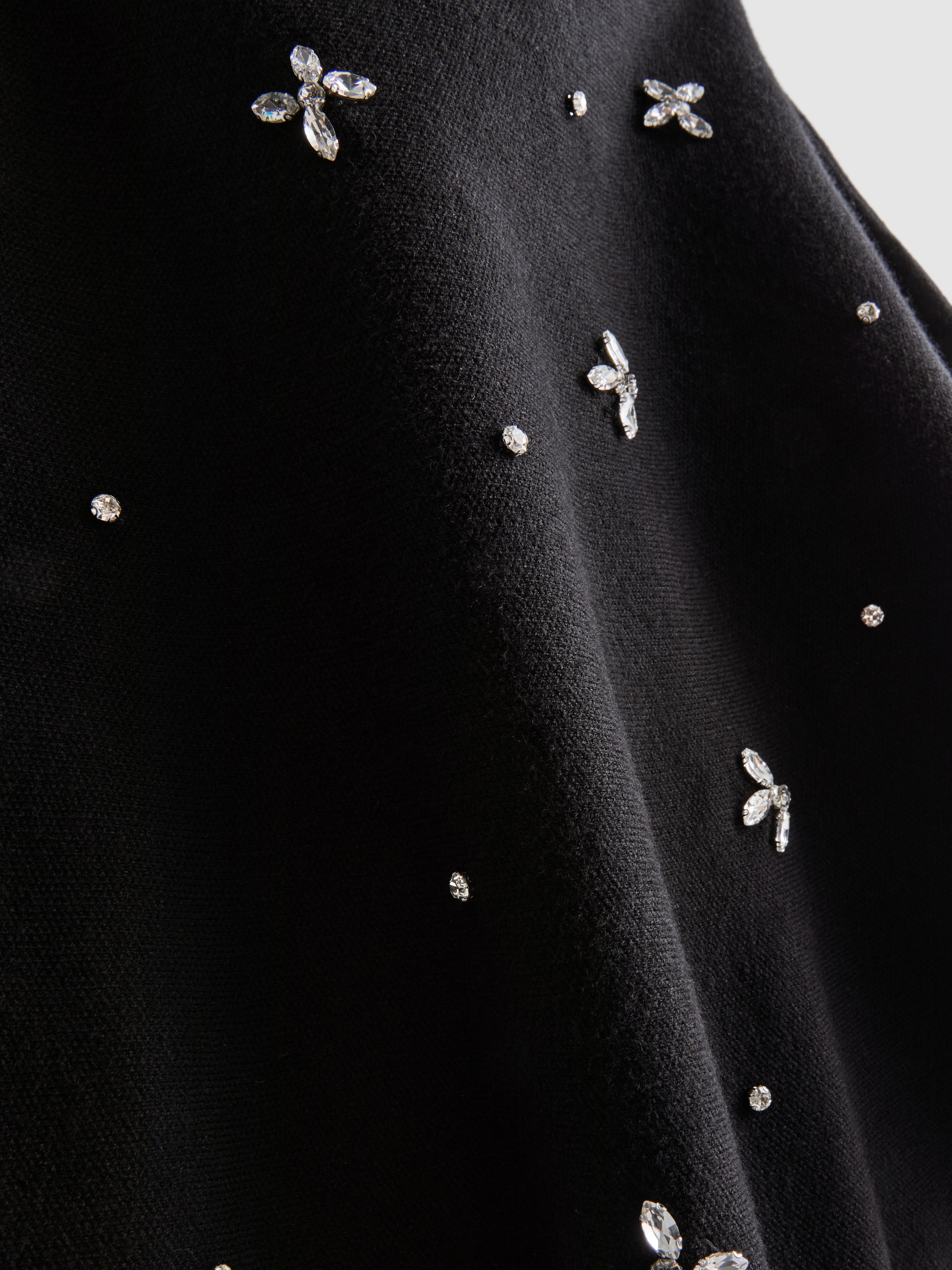 Embroidered Mini Skater Skirt