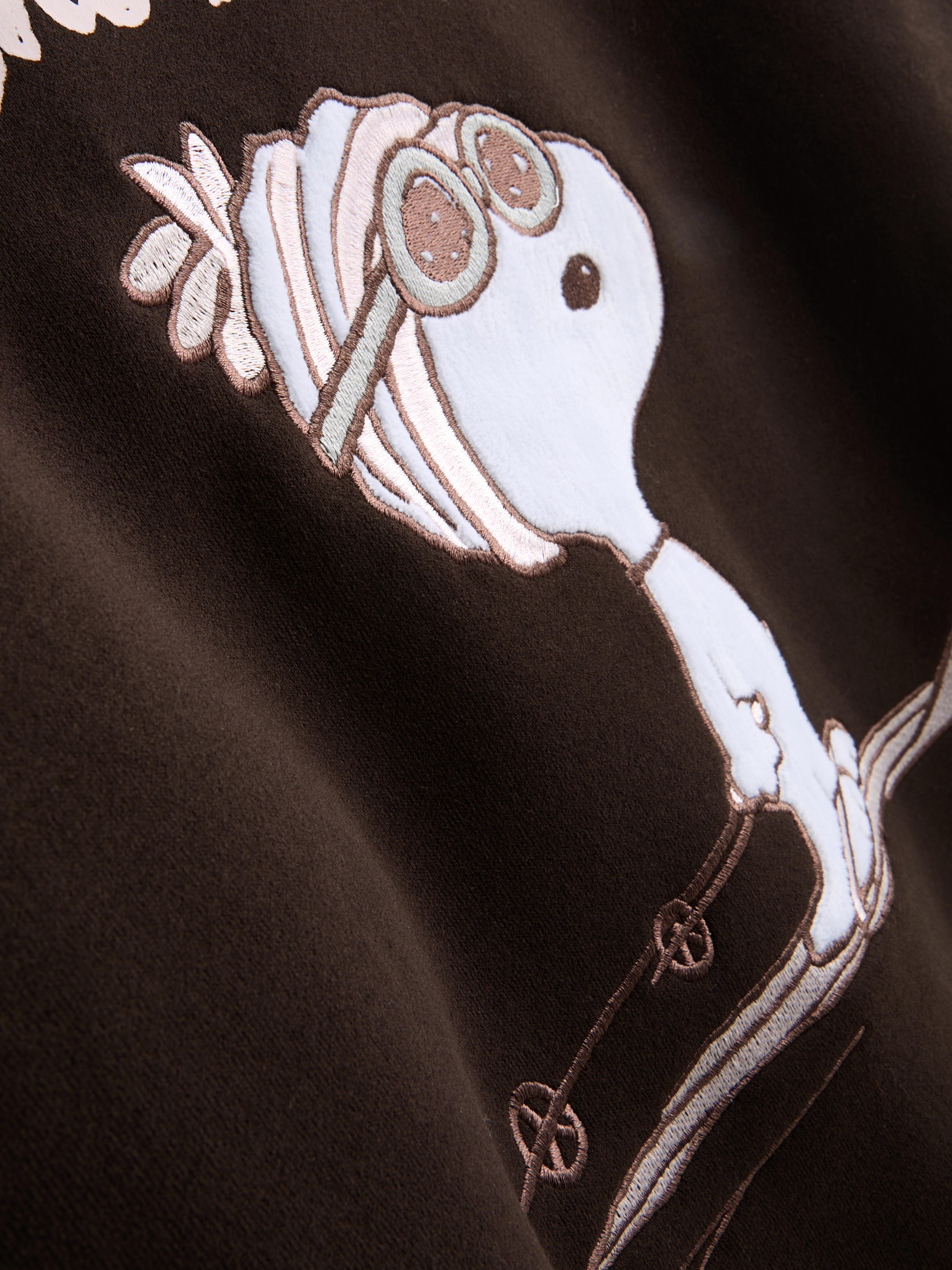 Women's Chocolate Peanuts Snoopy Graphic Sweatshirt