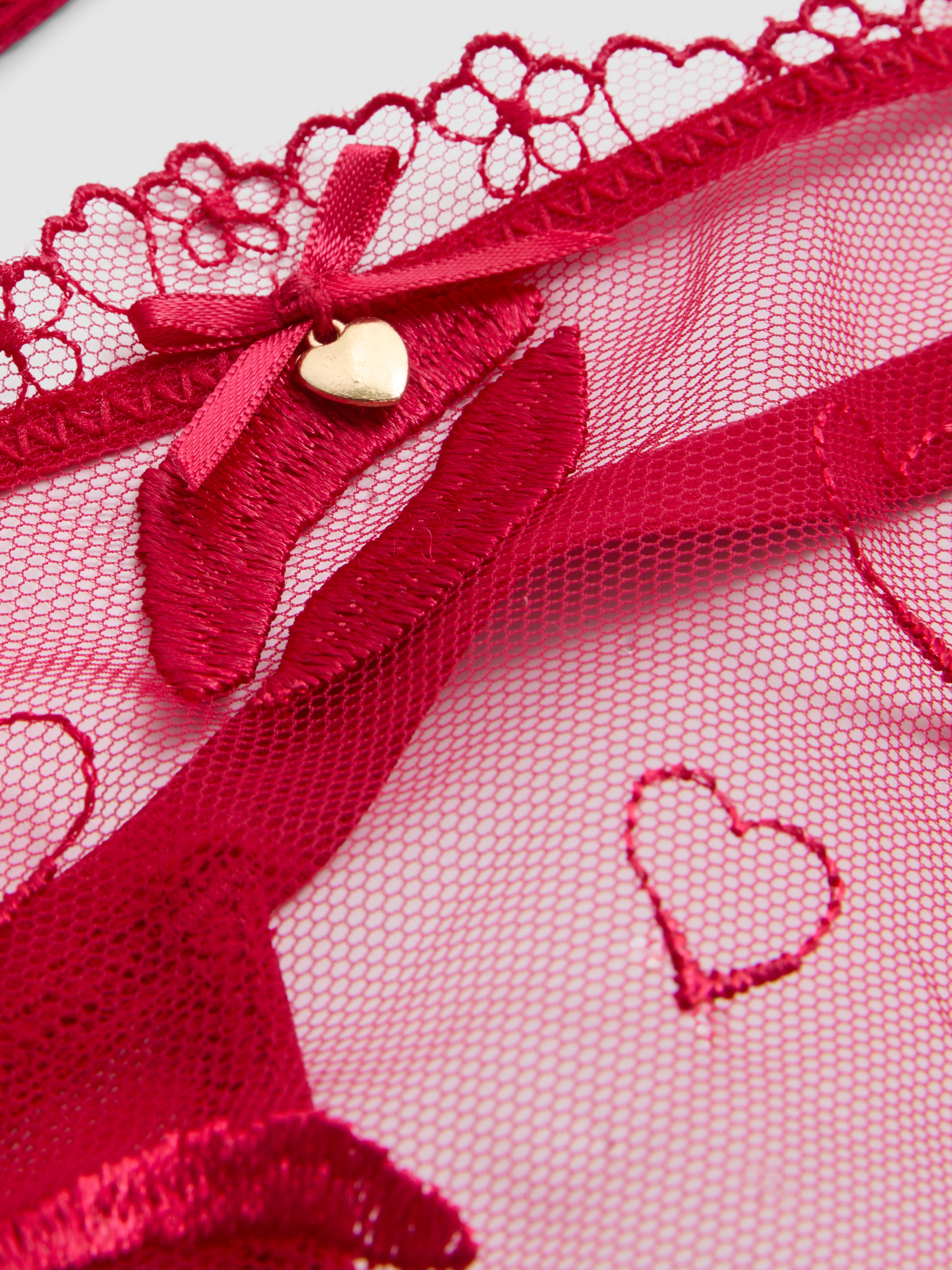 Women's Red Embroidered Mesh Non-Padded Underwear Set