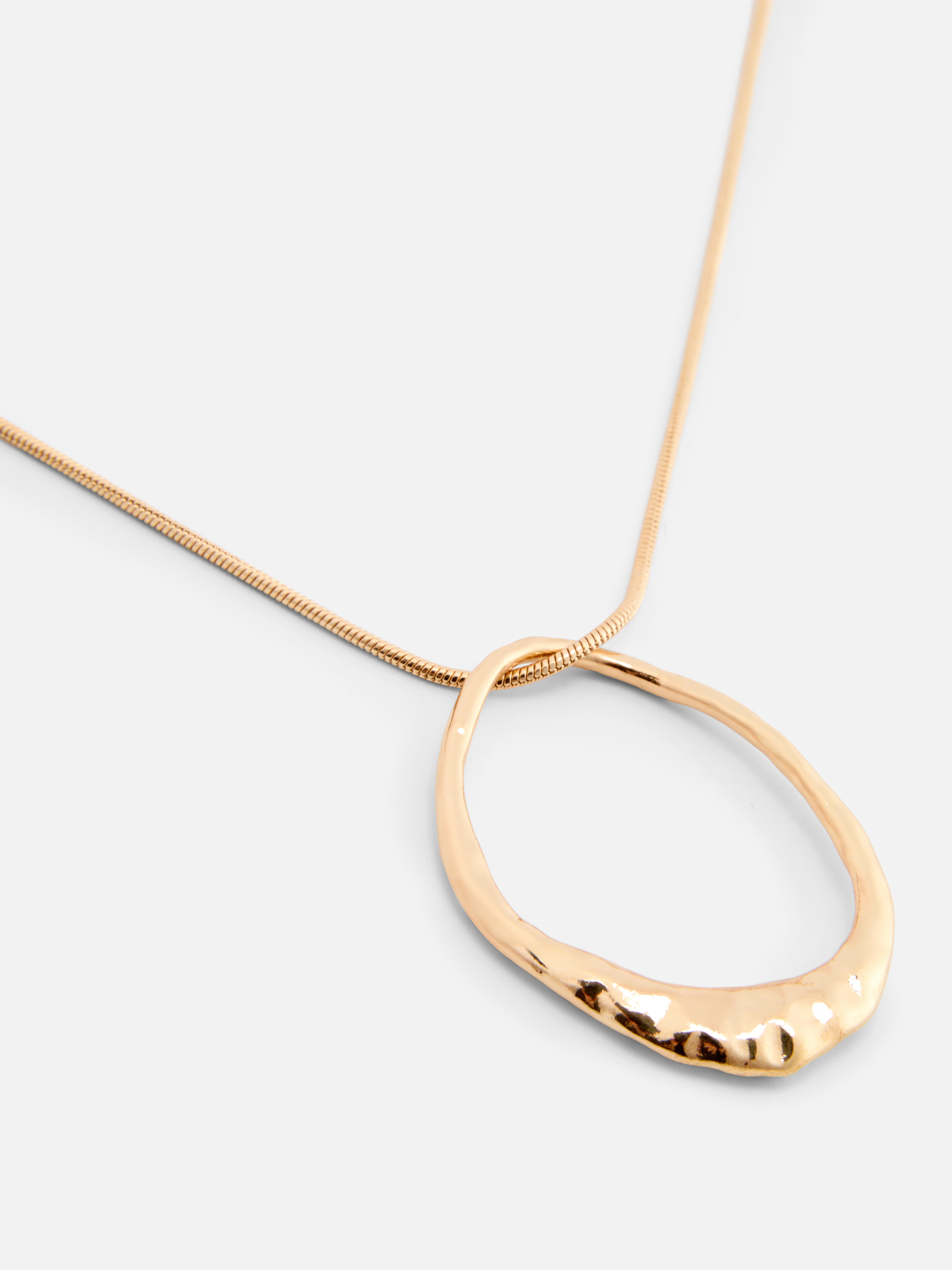 The Edit Long Round Pendant