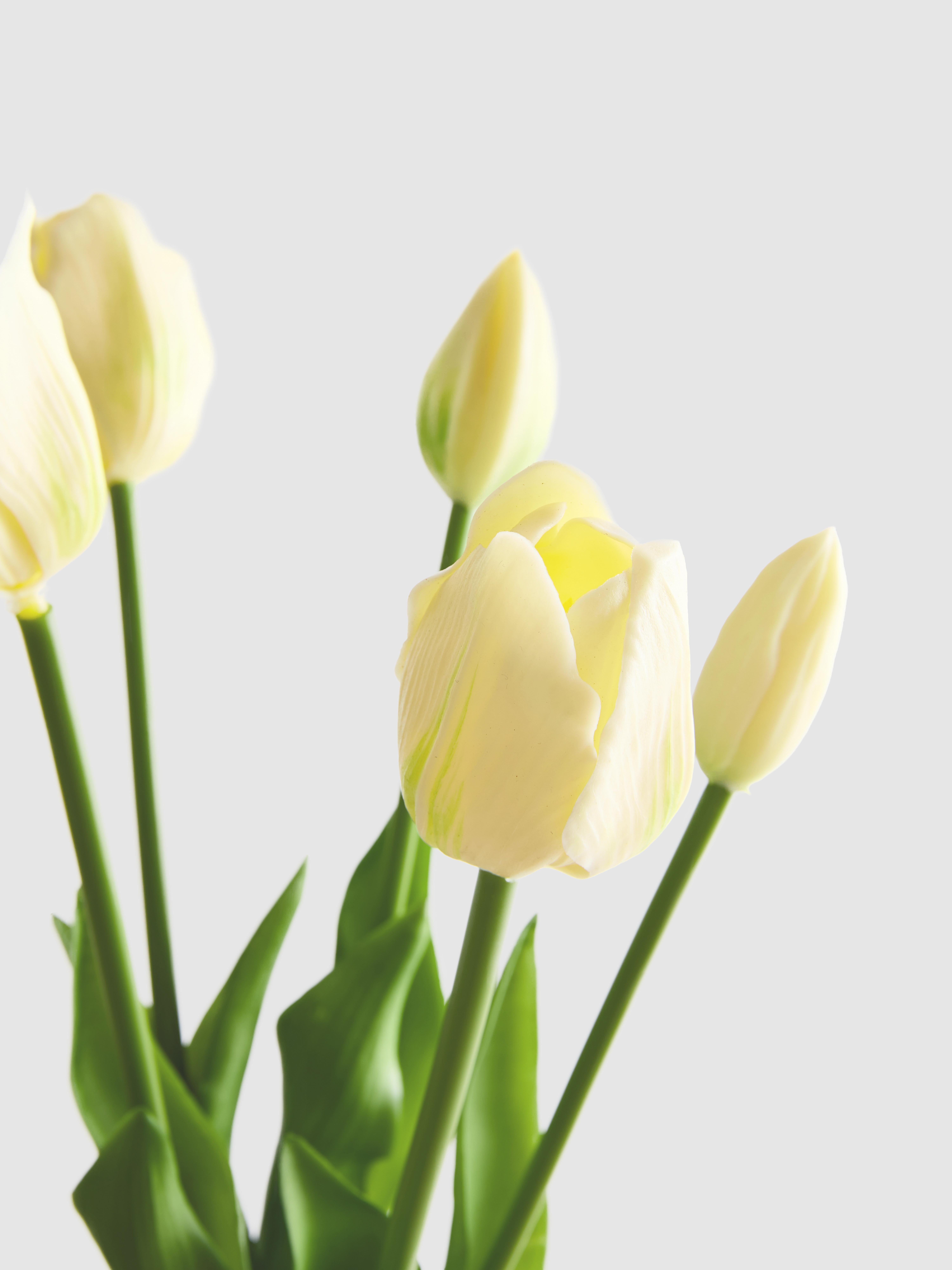 Faux Tulip Stem Display