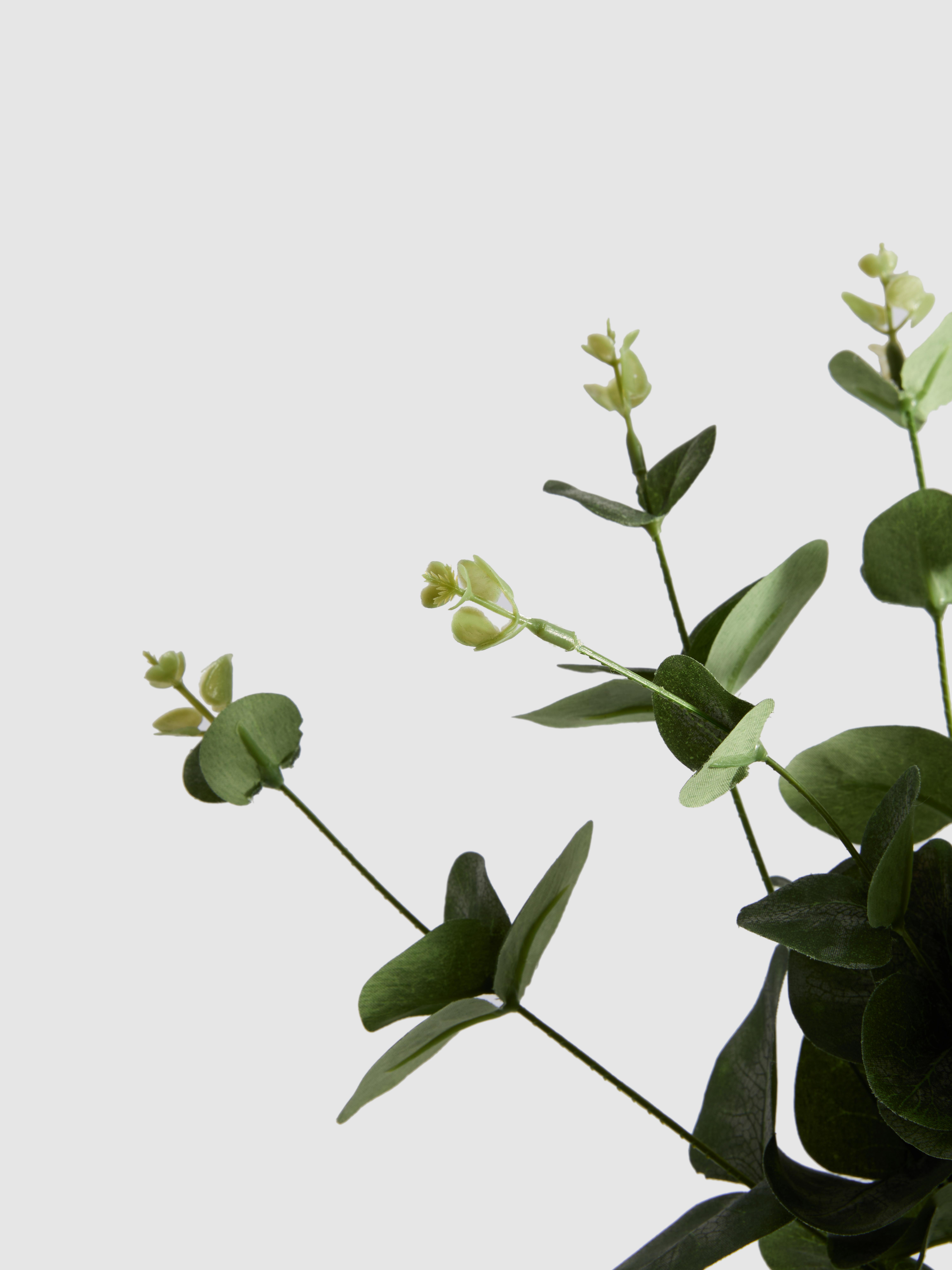 Nike Patch - Lonchera Térmica, Color Verde Estadio (Stadium Green), Talla única