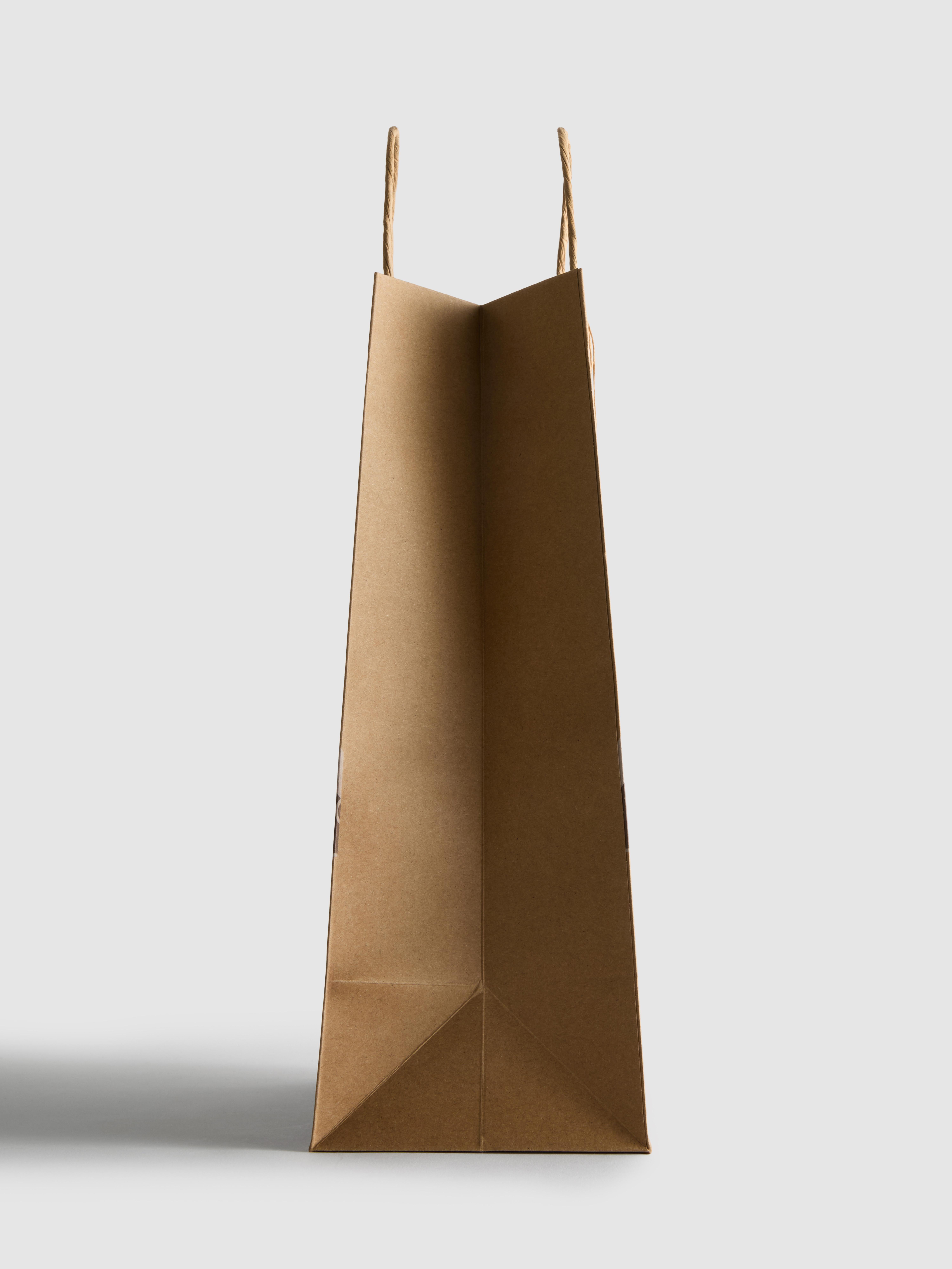 Gingerbread House Gift Bag