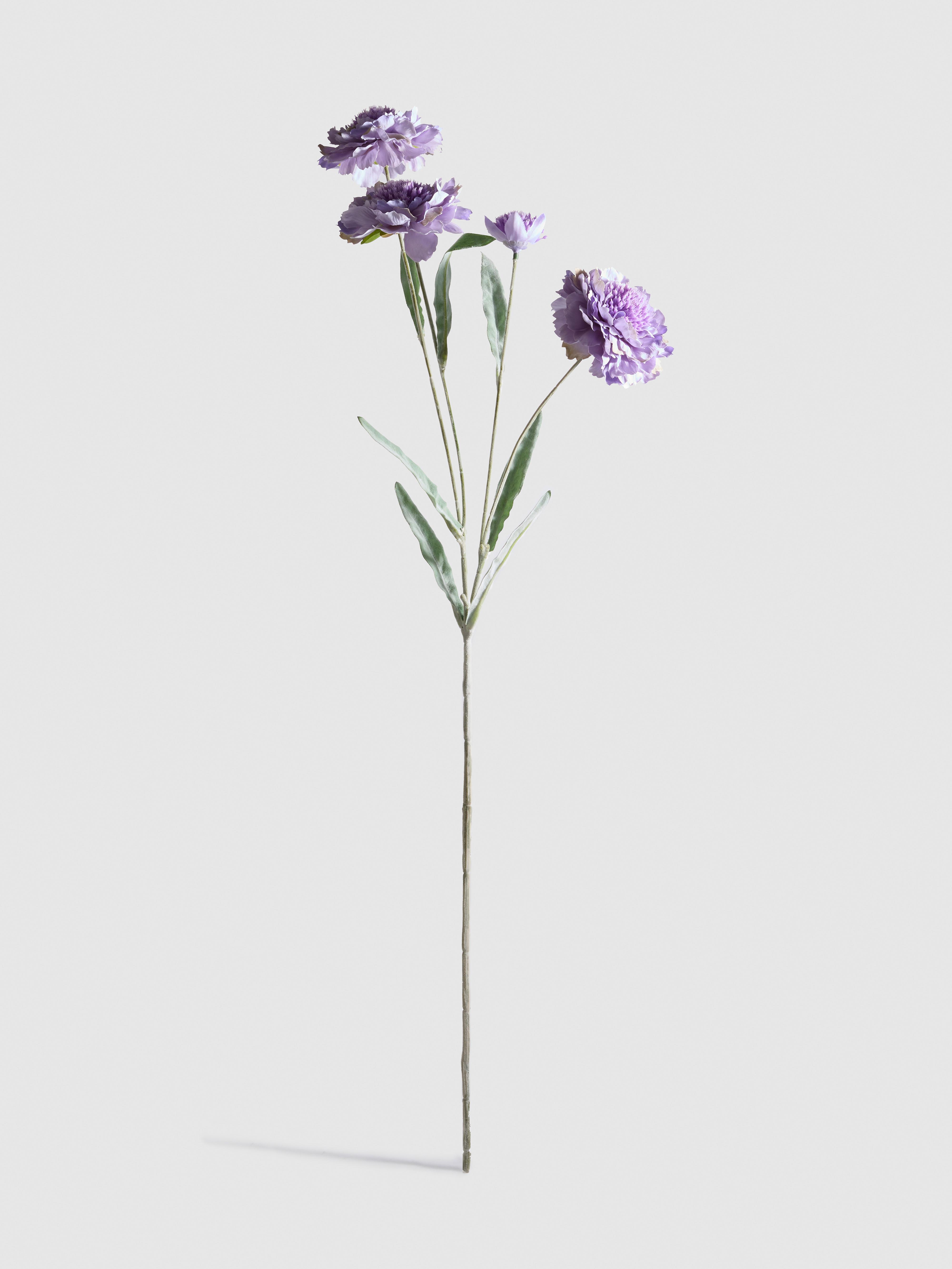 Décoration clématite une tige