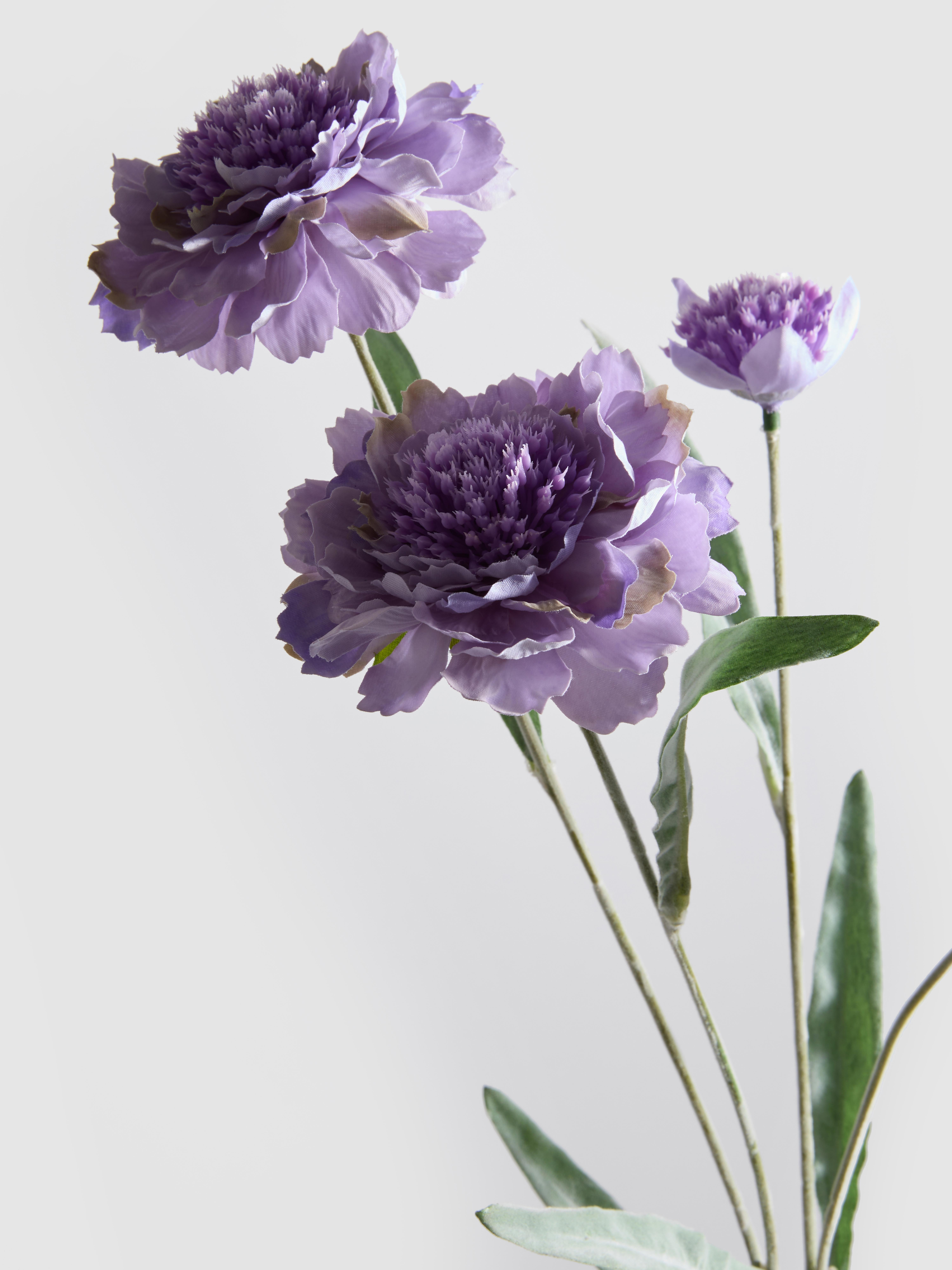 Single Stem Clematis Decoration