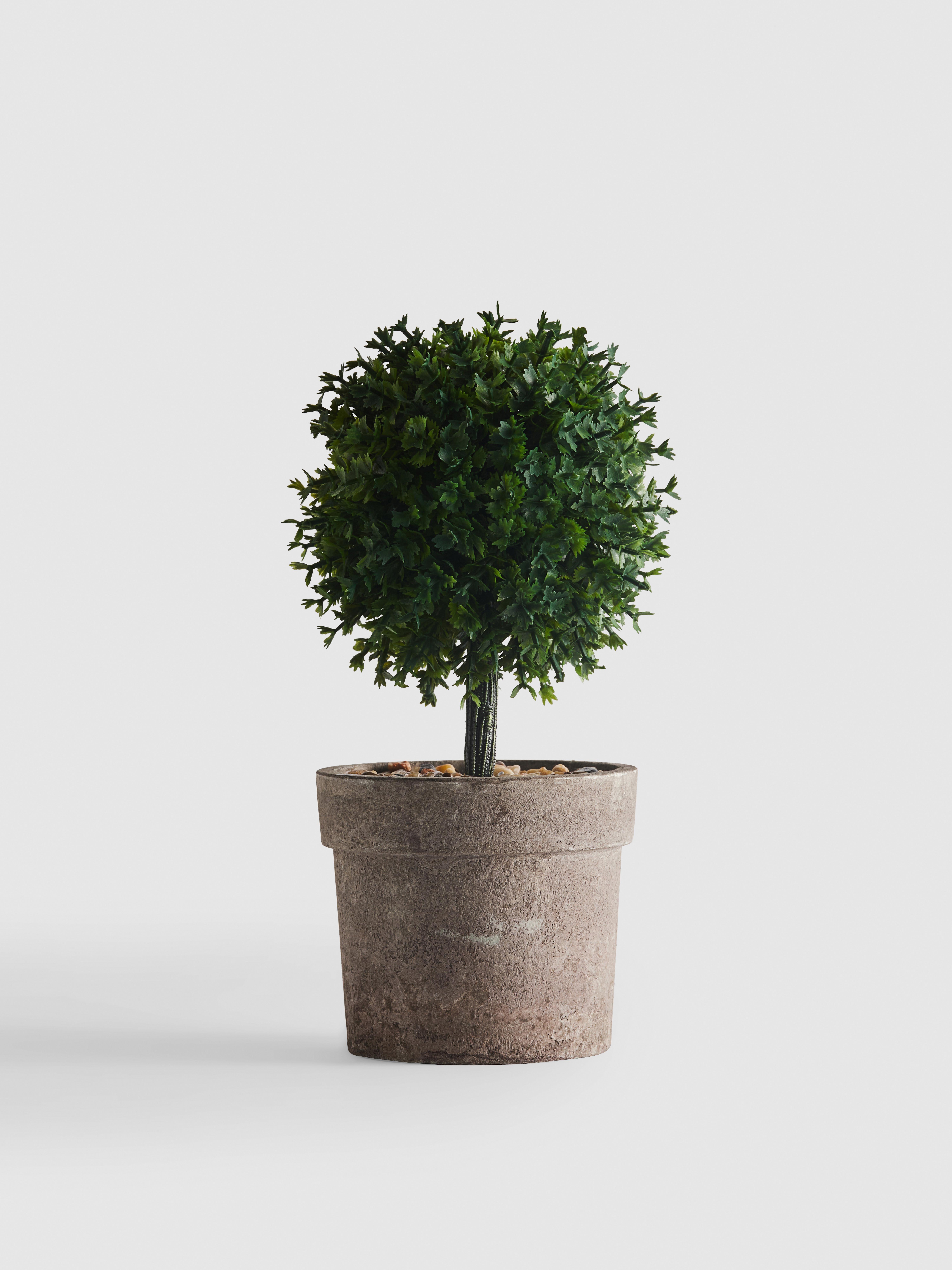 Imitatieplant in vormsnoei in pot