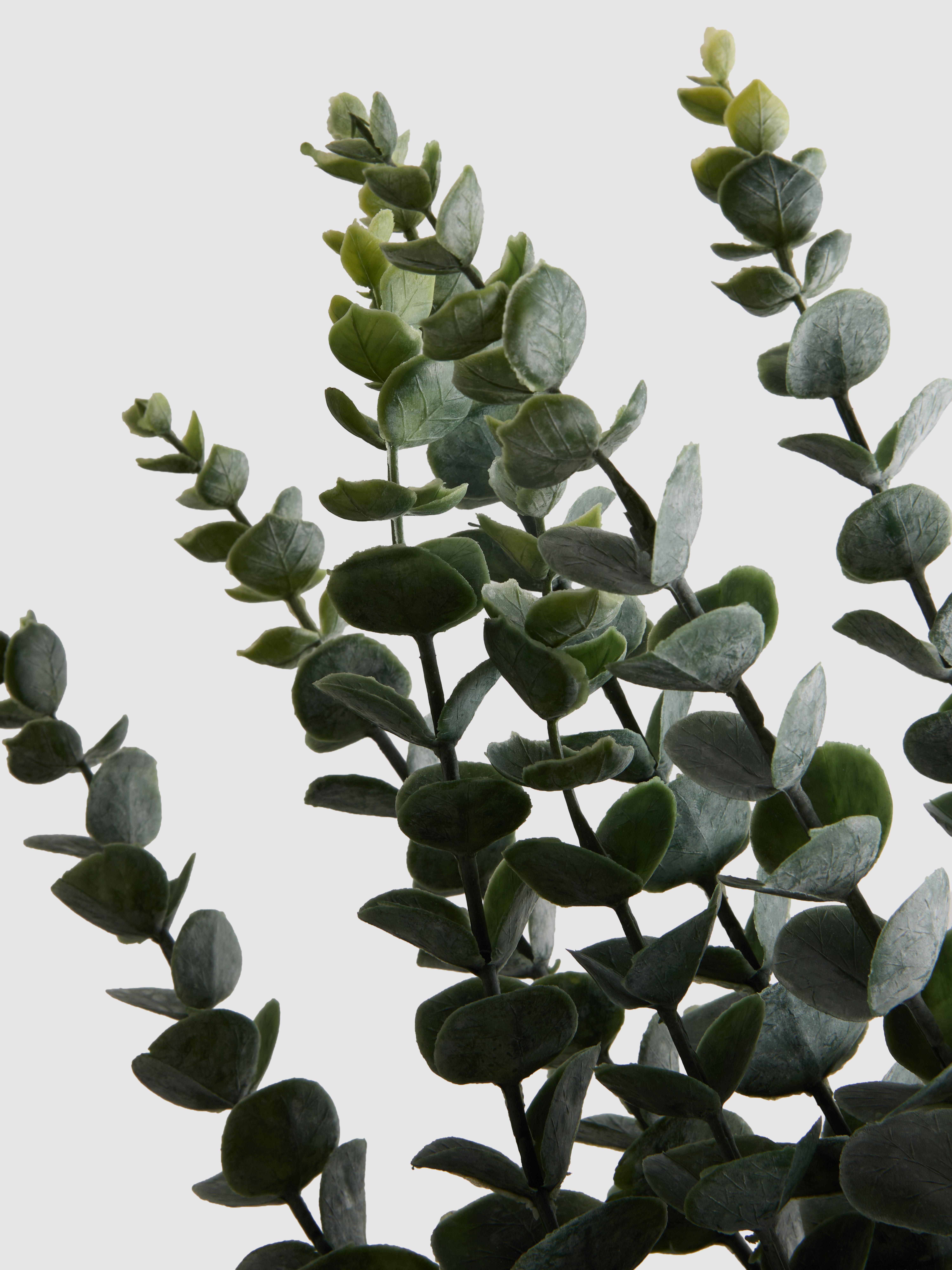 Single Stem Faux Eucalyptus Plant