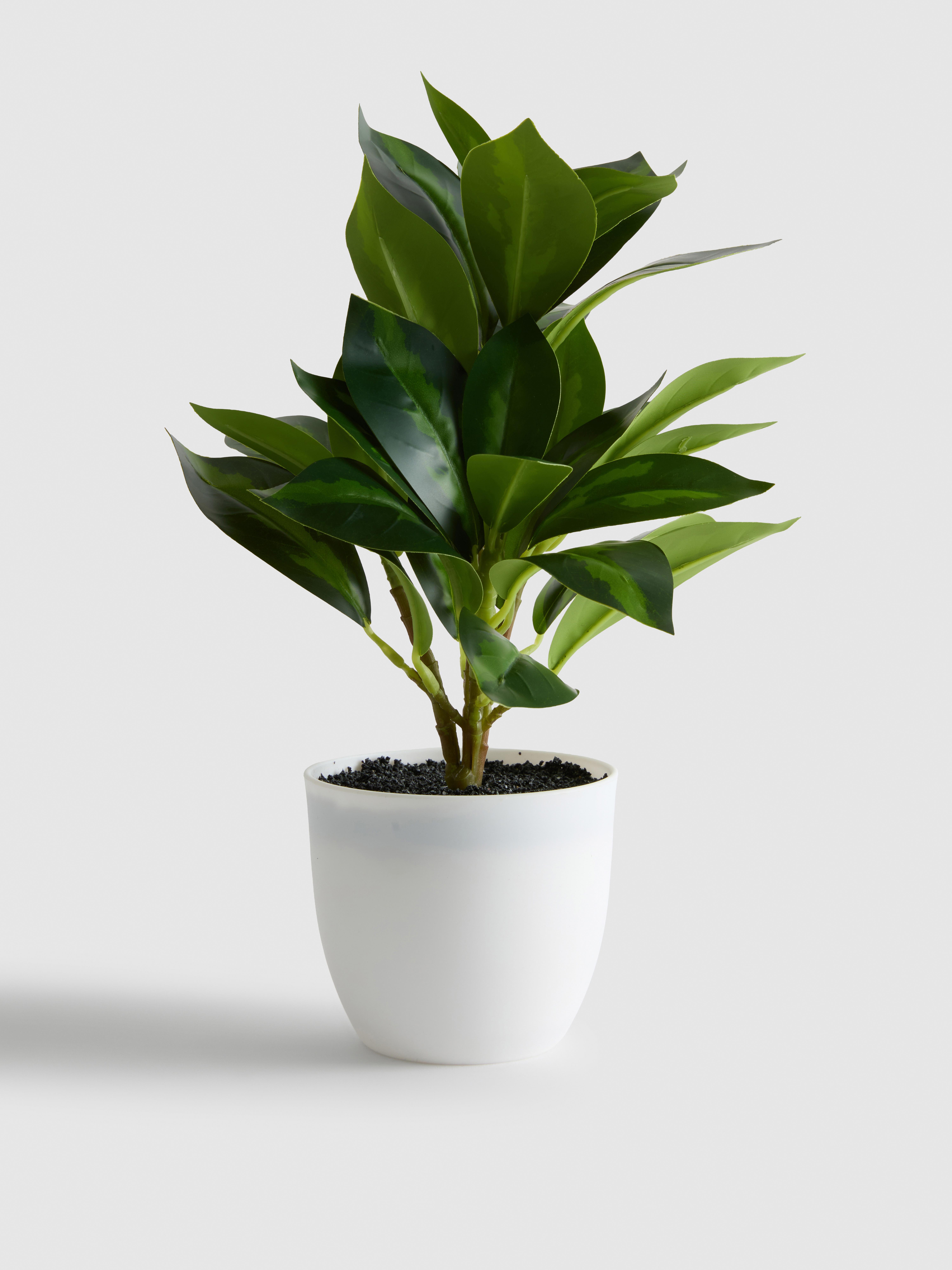 Planta artificial en recipiente de cerámica