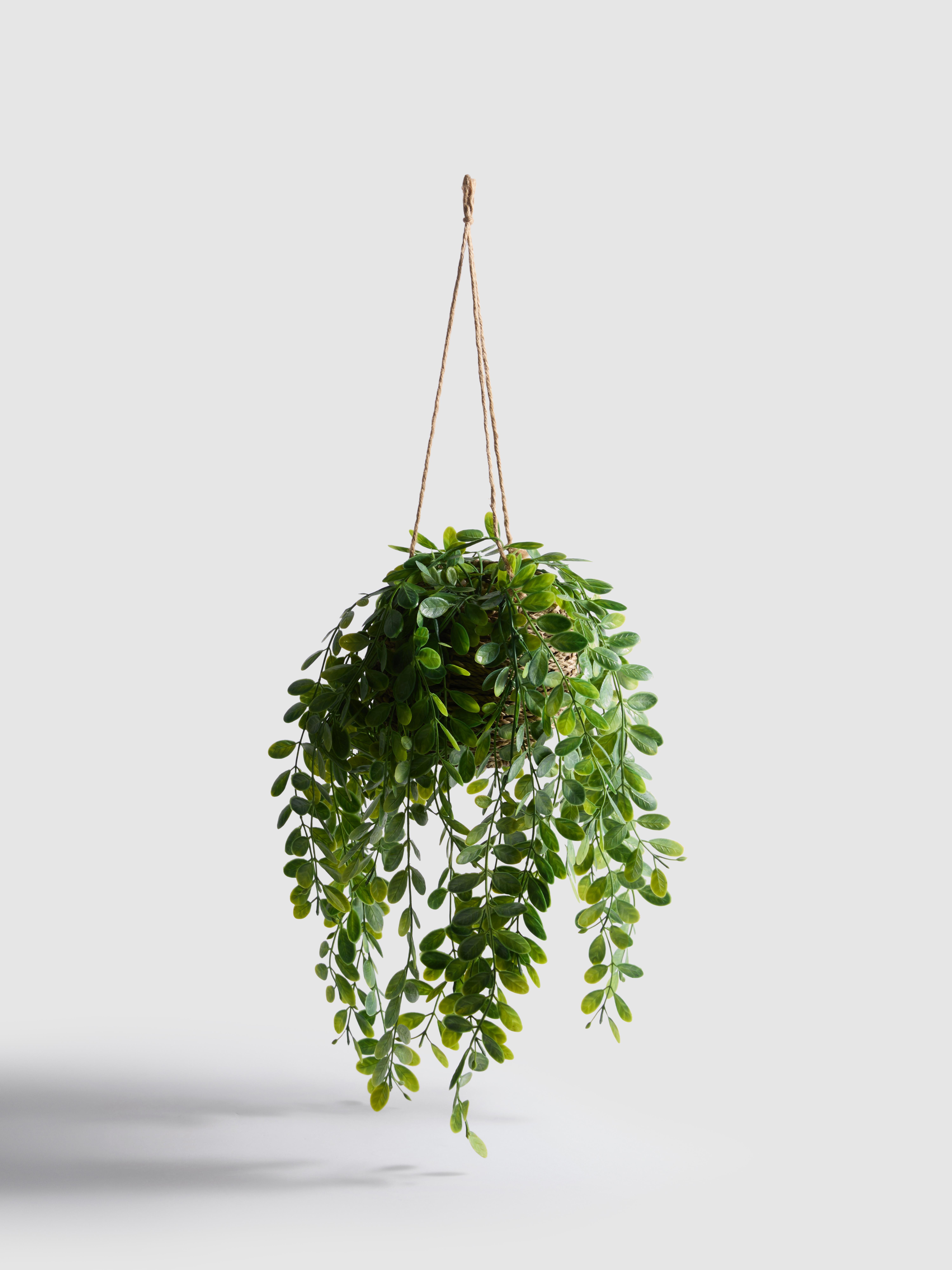 Künstliche Sukkulente im Hängetopf