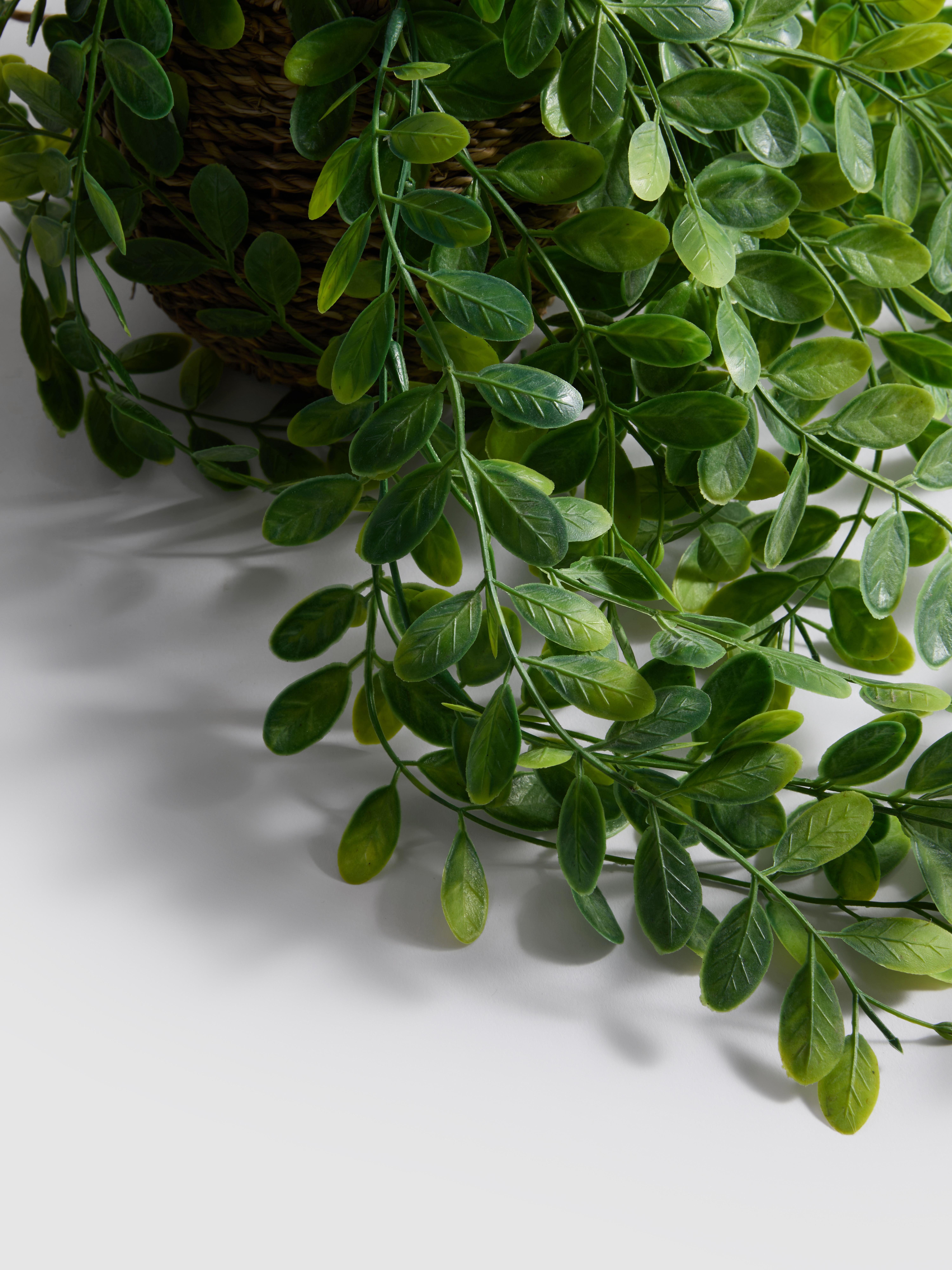 Imitatievetplant in hangende pot