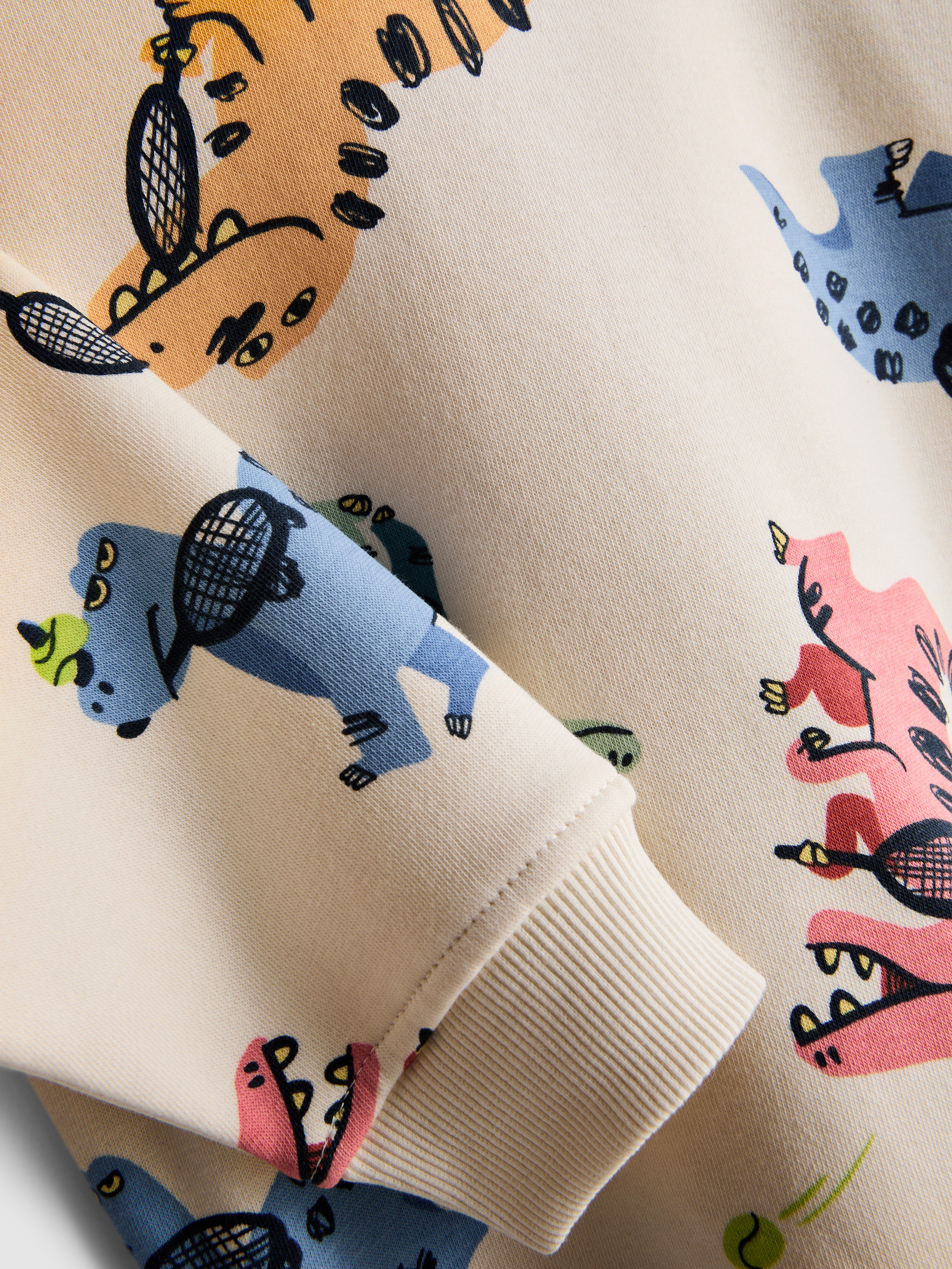 1.5-8yrs | Dinosaur Graphic Sweatshirt and Sweatpants Set