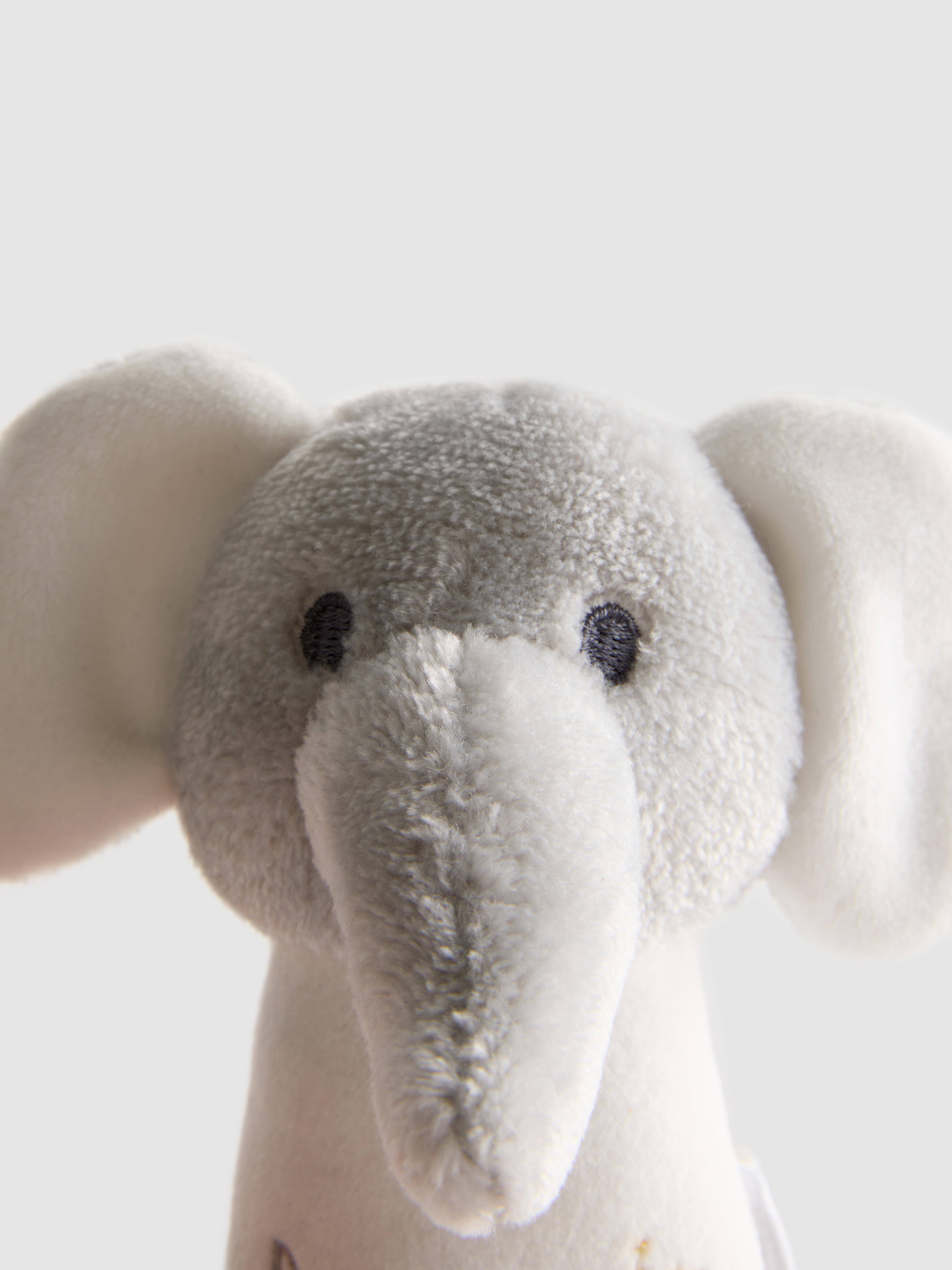 Born in 2026 Rattle Toy