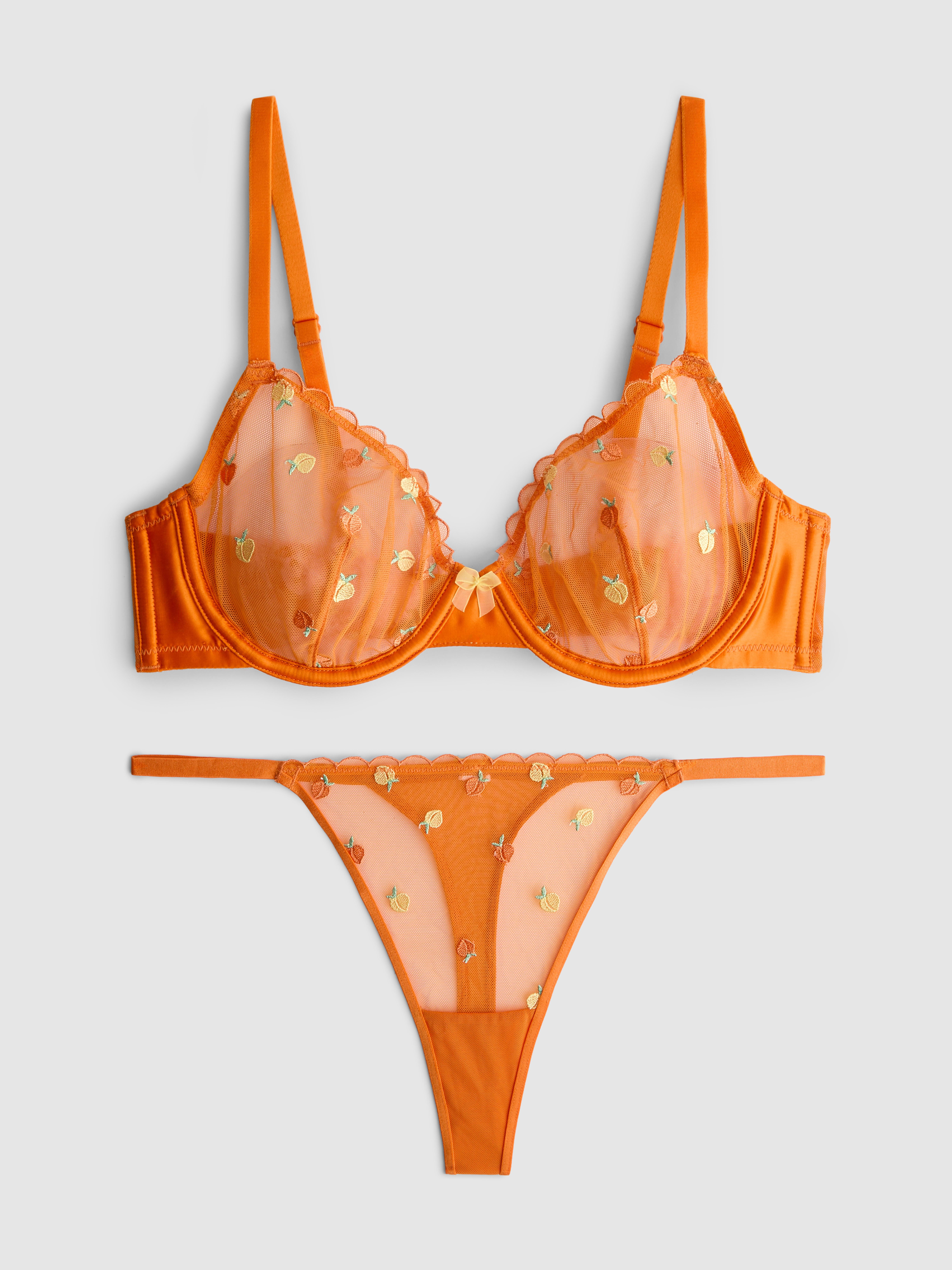 Embroidered Mesh Underwear Set