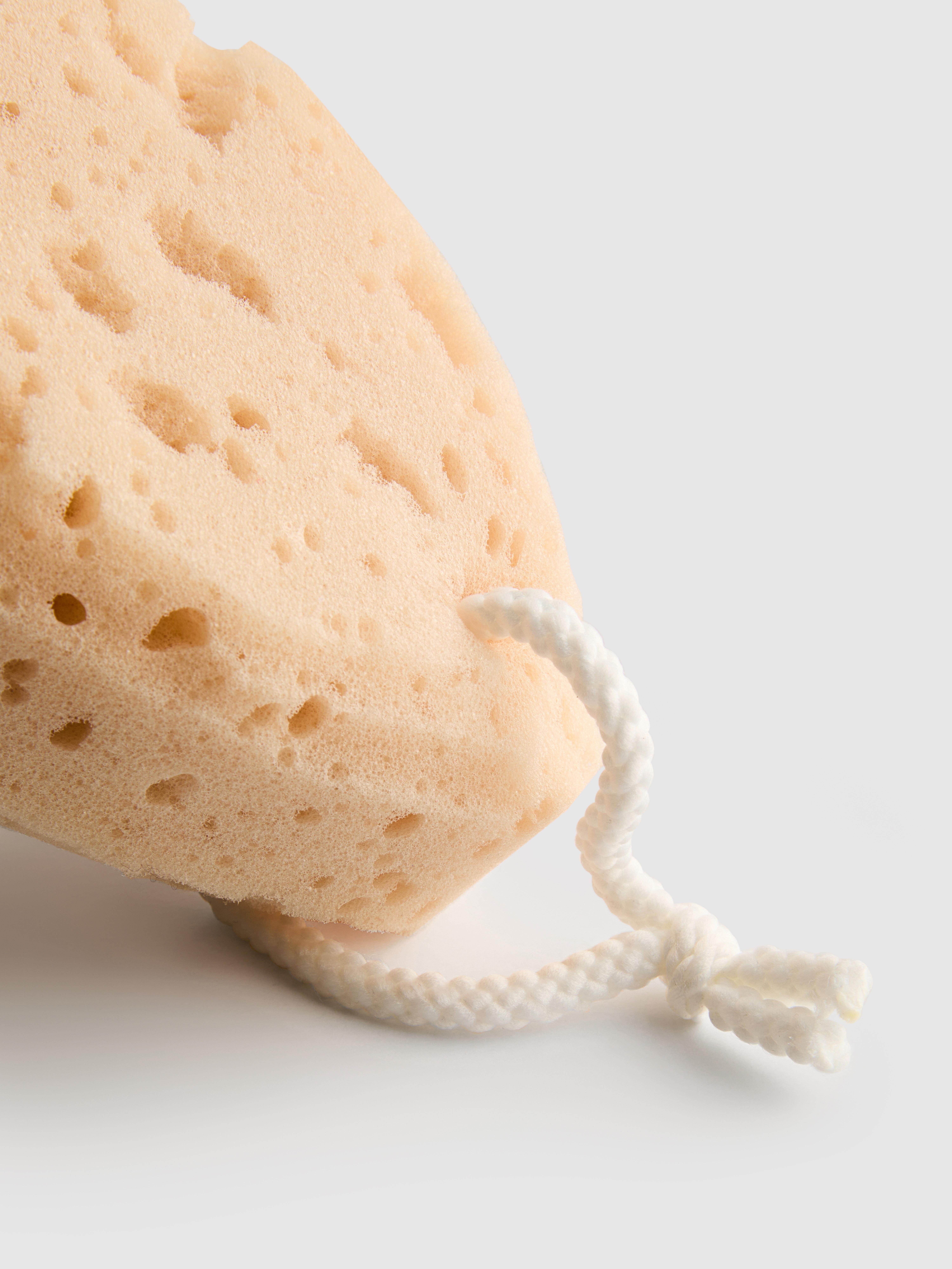 Esponja corporal