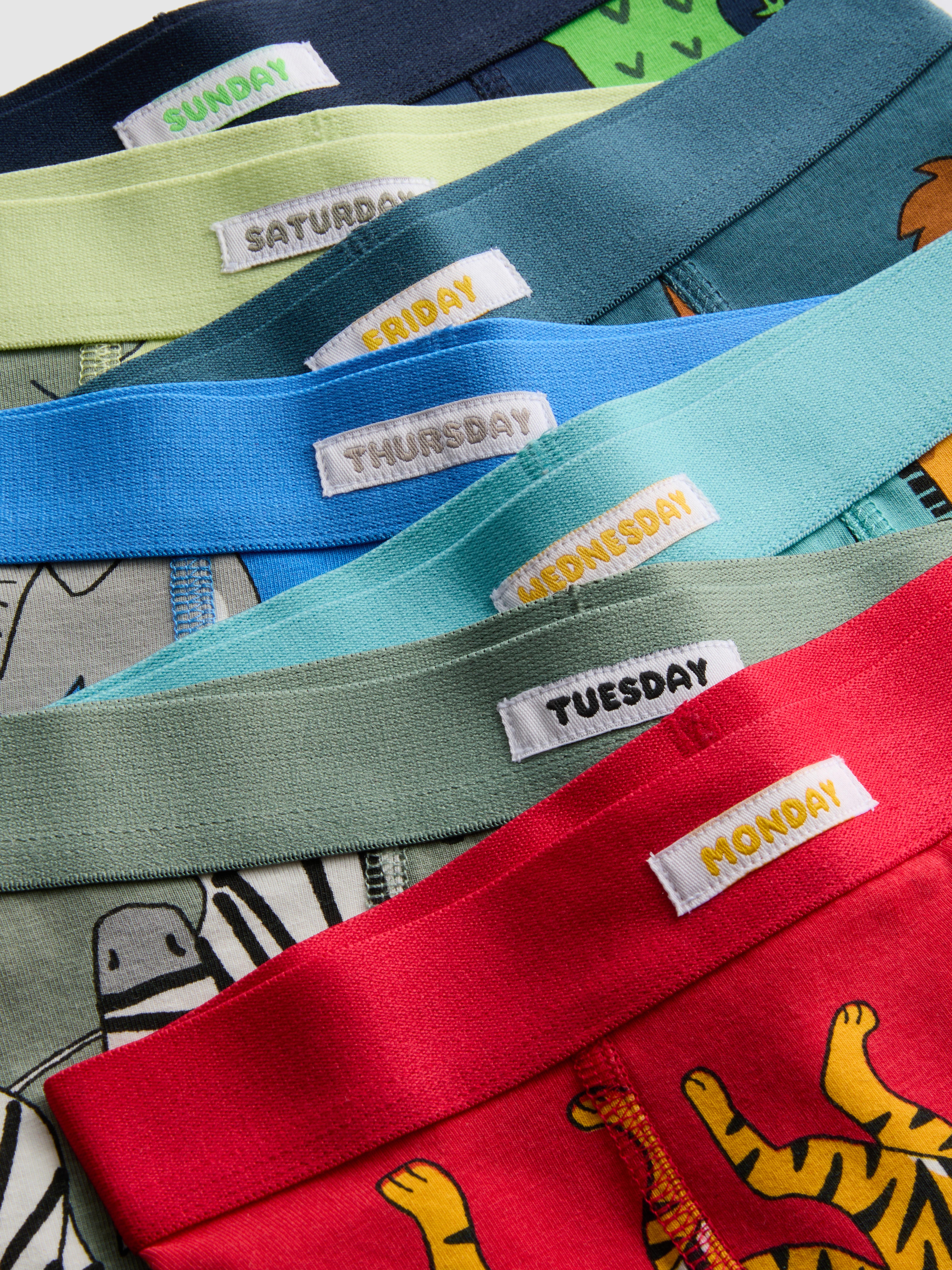 1,5-8 anni | 7 boxer con grafica animali del safari