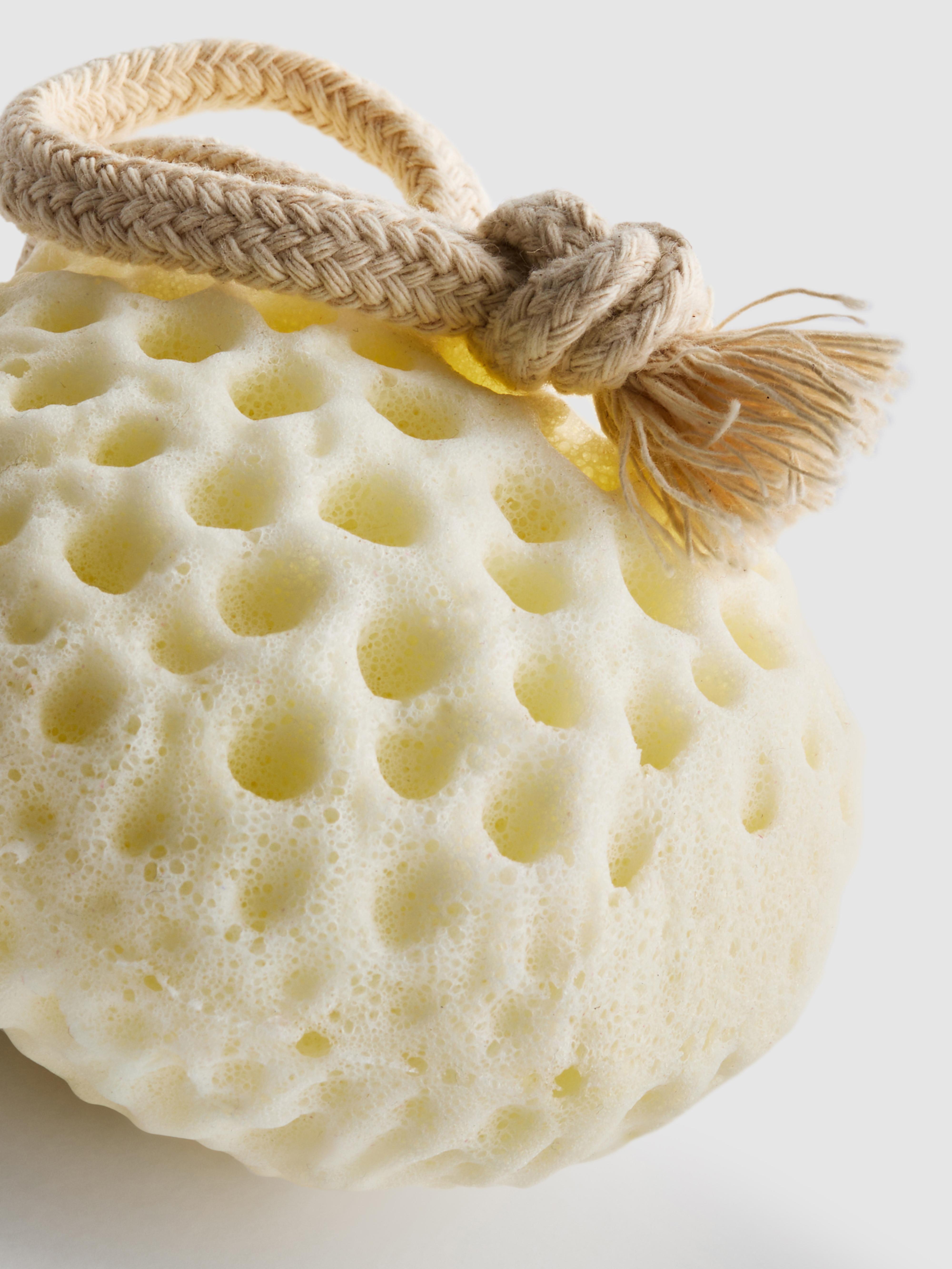 PS... Exfoliating Body Sponge