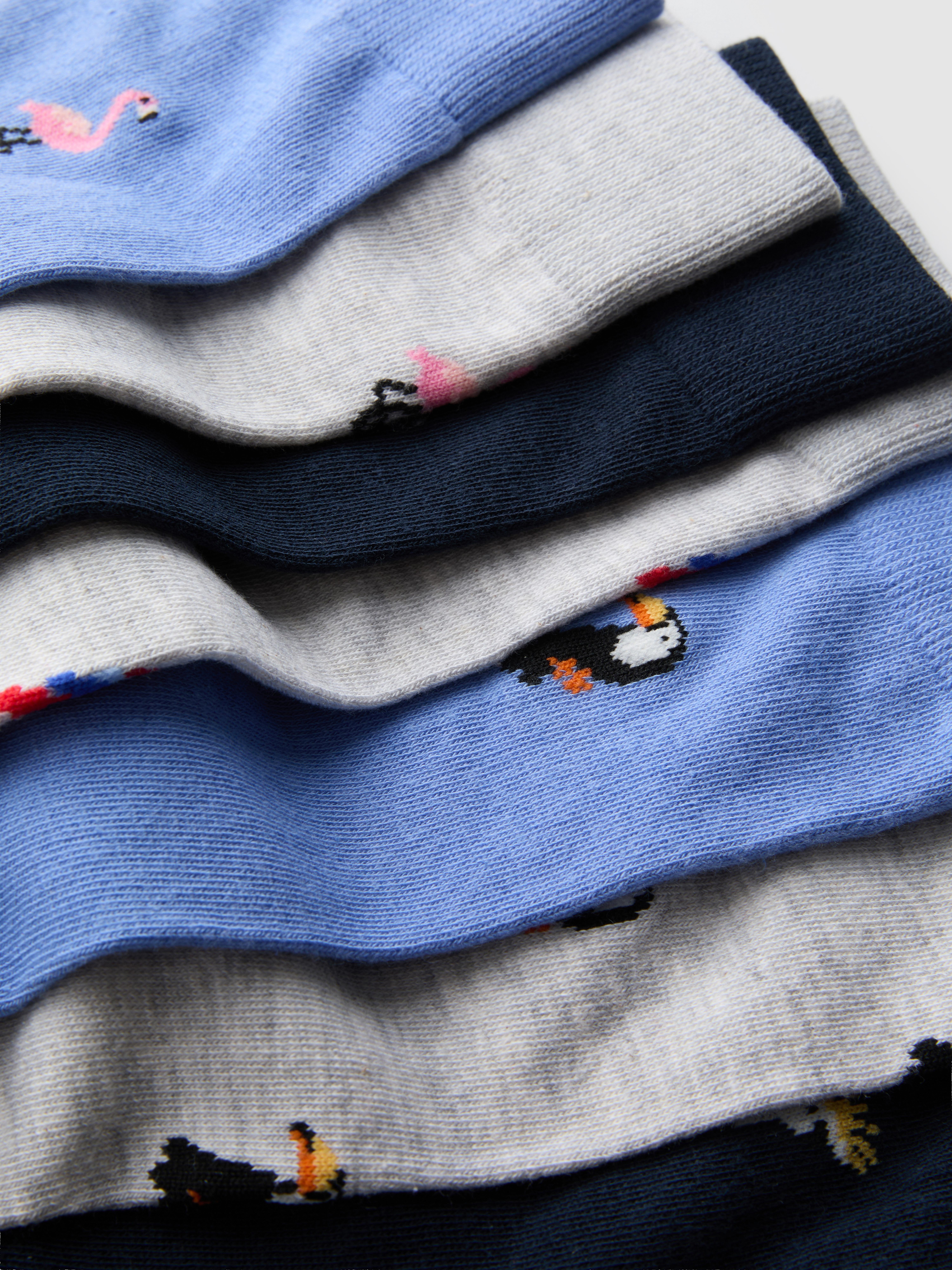 7pk Bird Socks