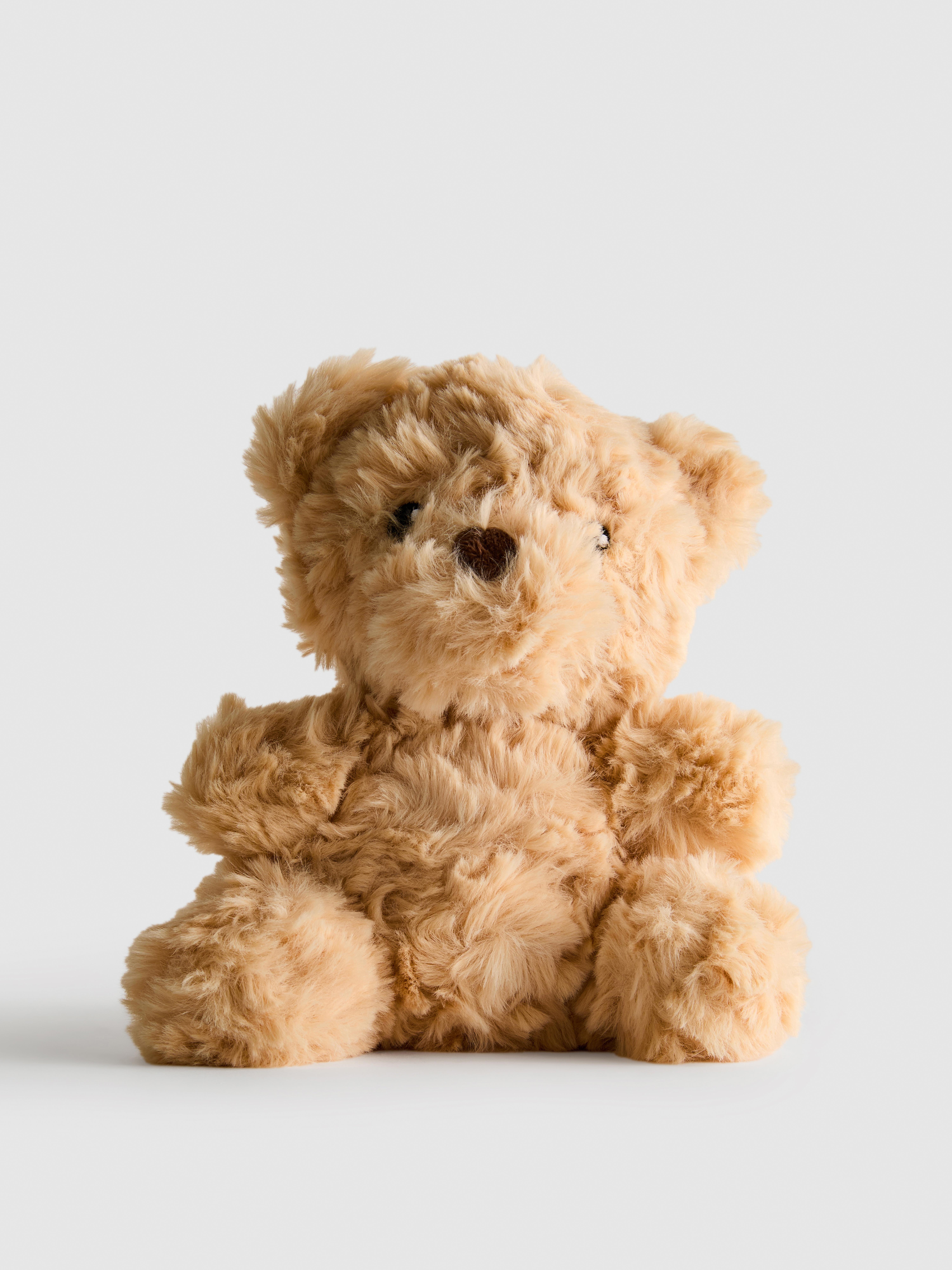 Small Teddy Bear Plush Toy