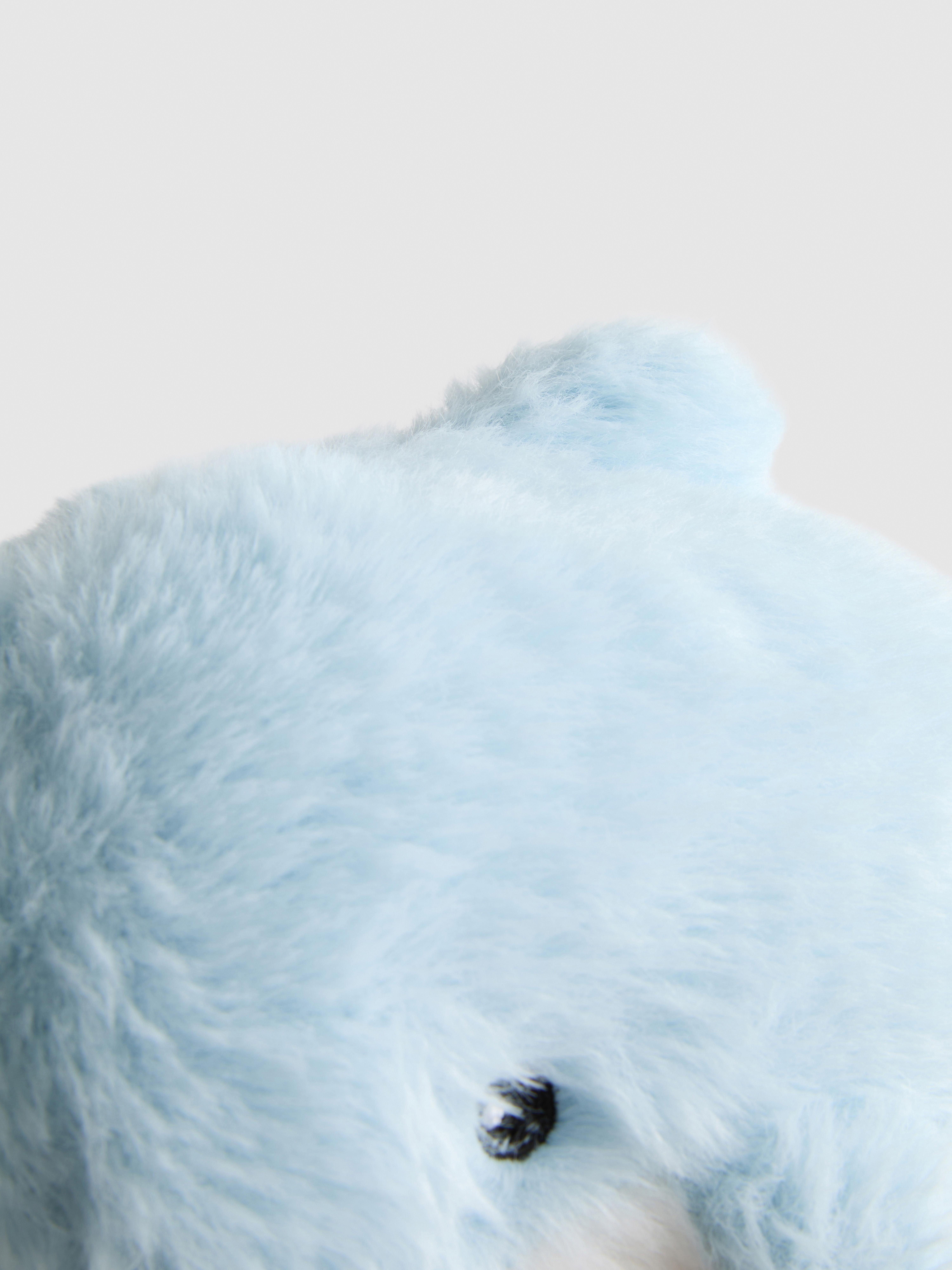 Small Dolphin Plush Toy