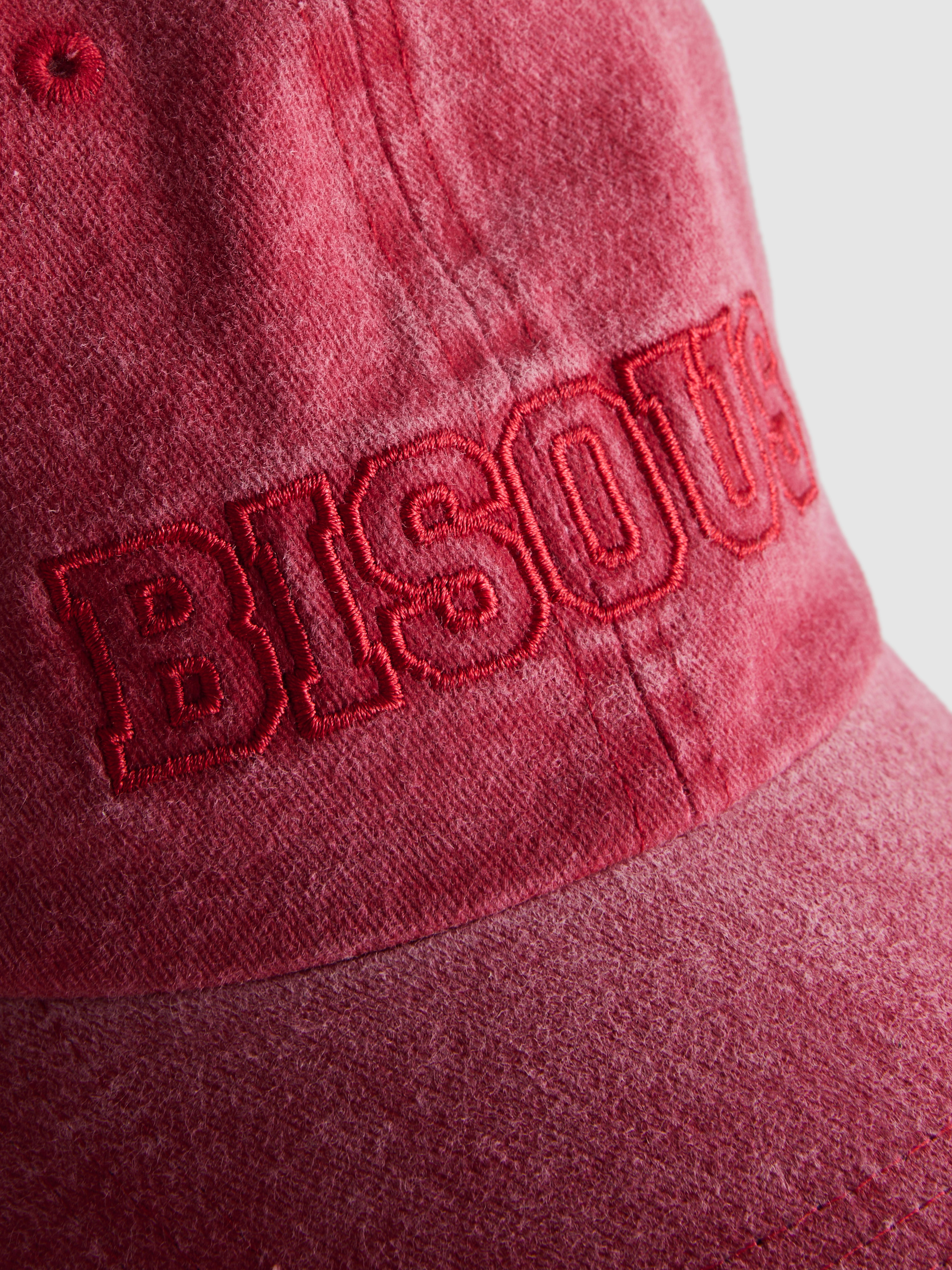 Washed Embroidered Baseball Cap