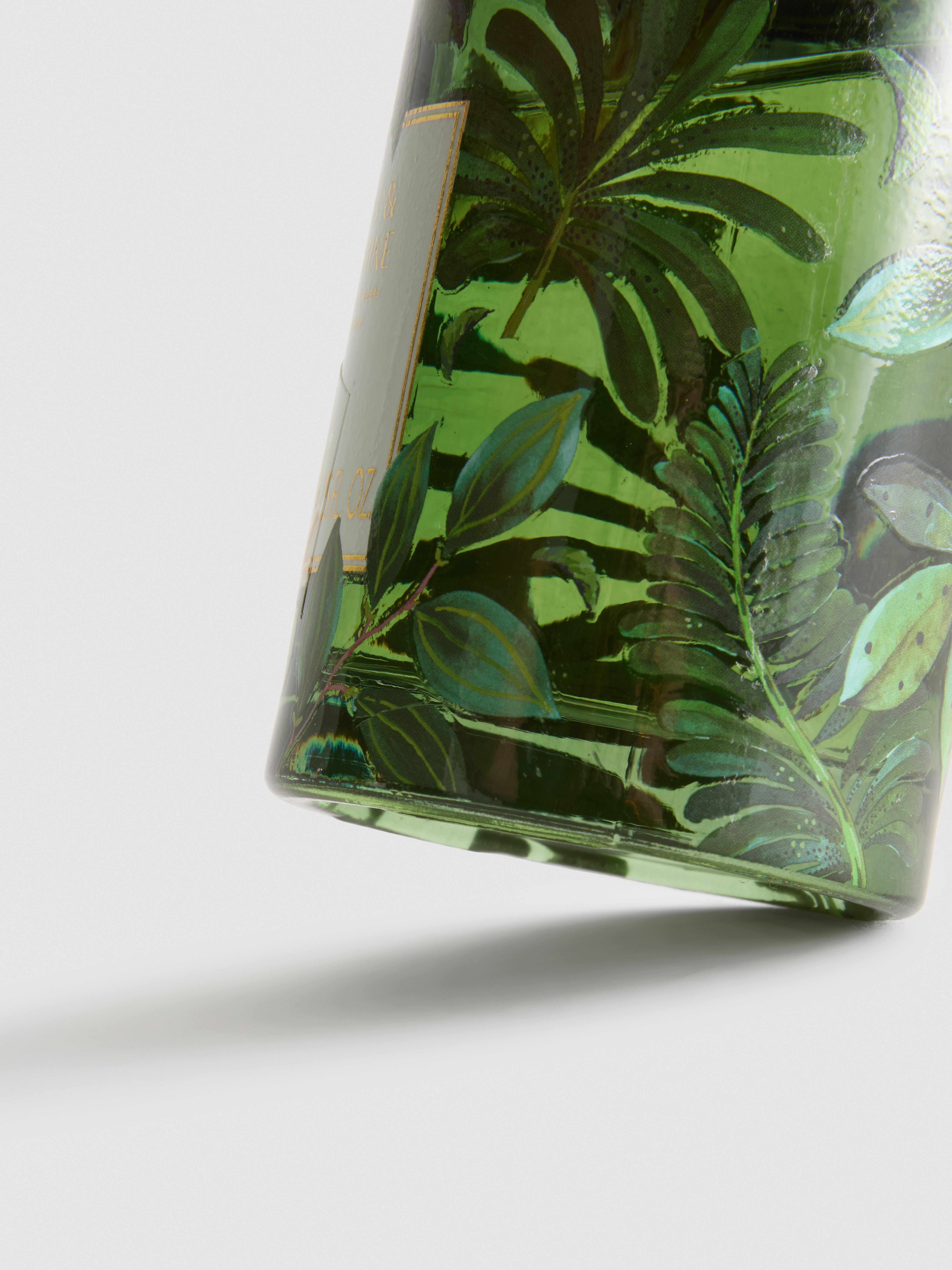 Difusor de aroma de varillas en frasco de vidrio