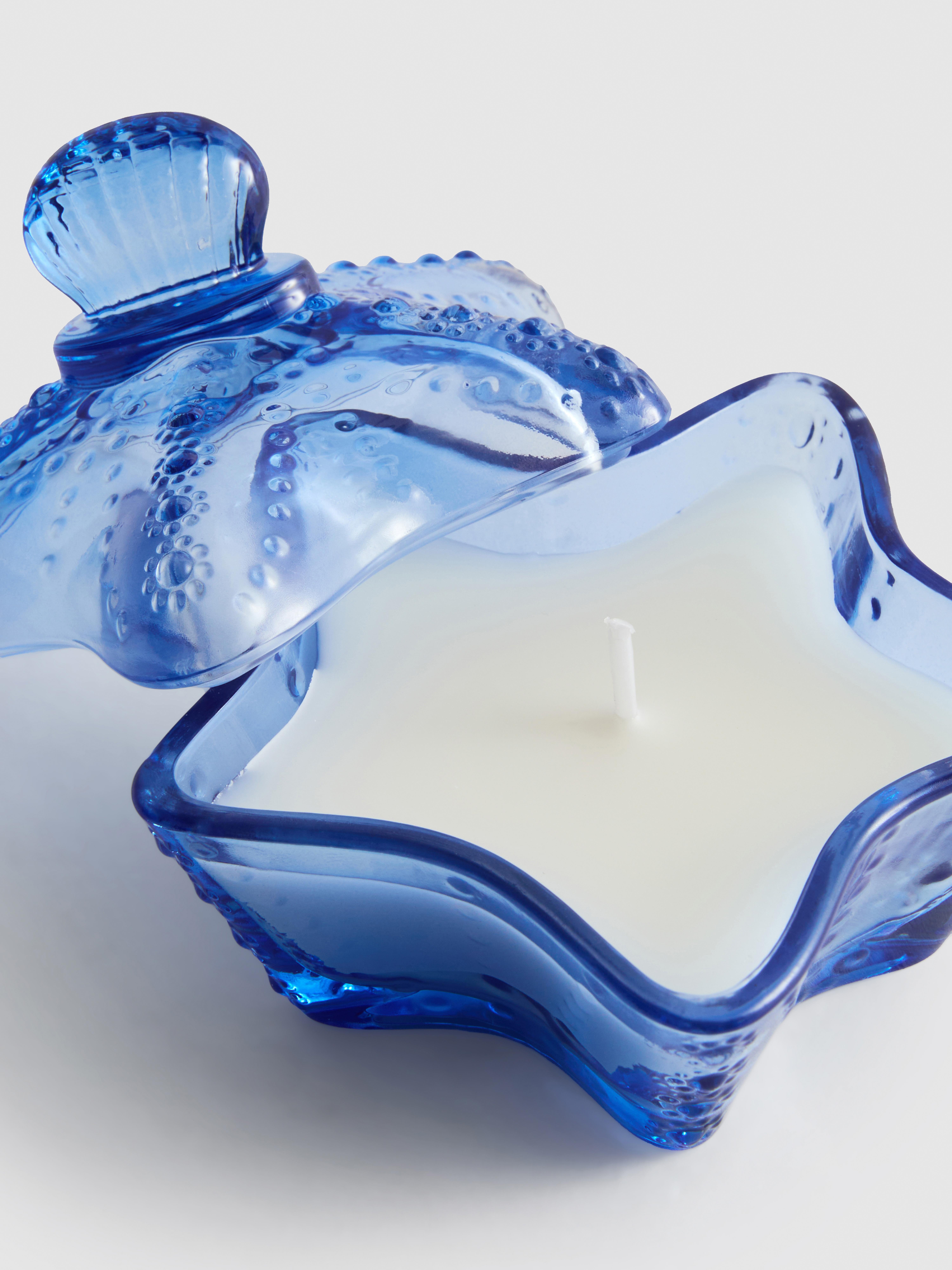 Bougie parfumée dans un pot étoile de mer