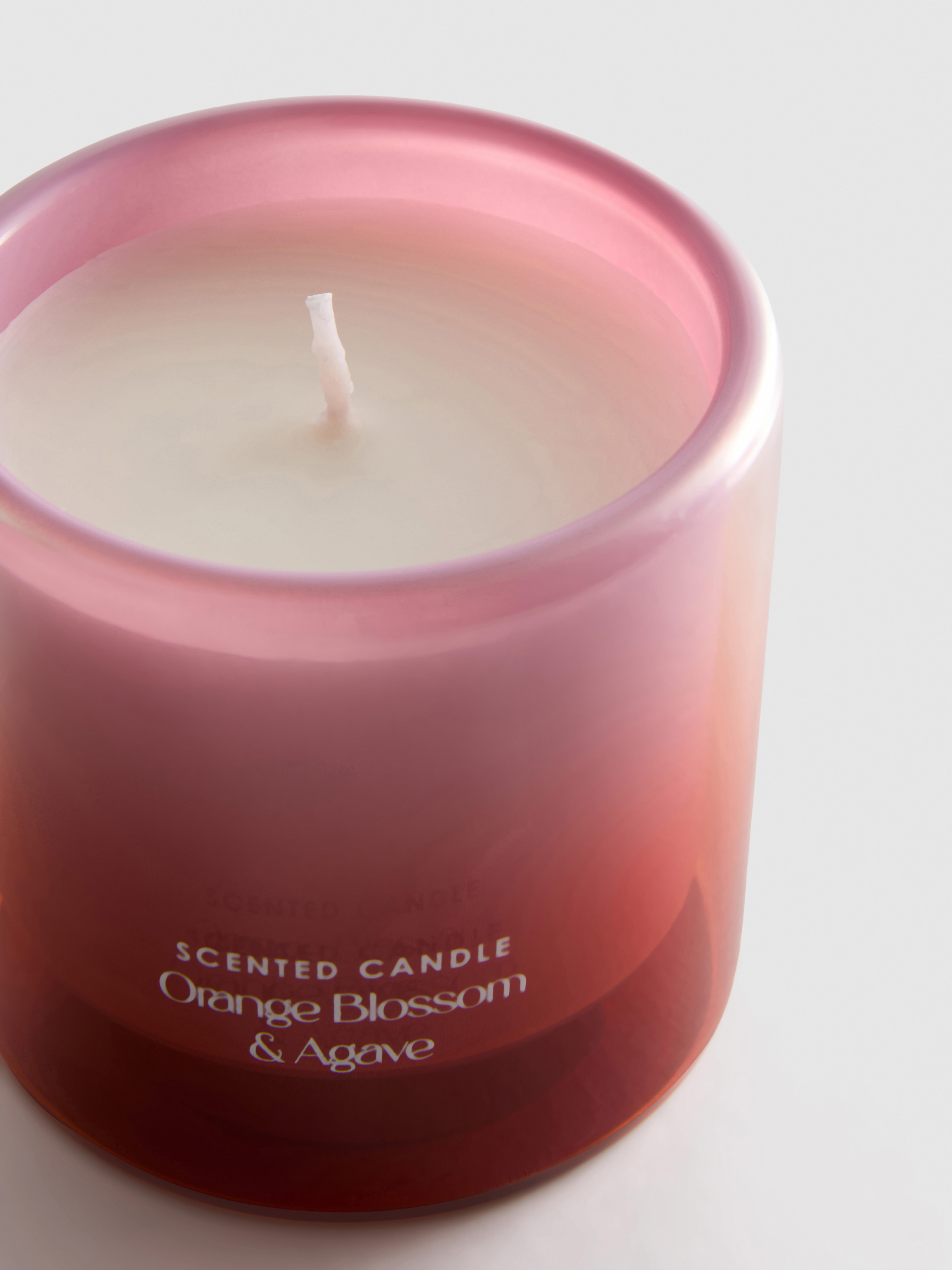 Orange Blossom & Agave Scented Candle