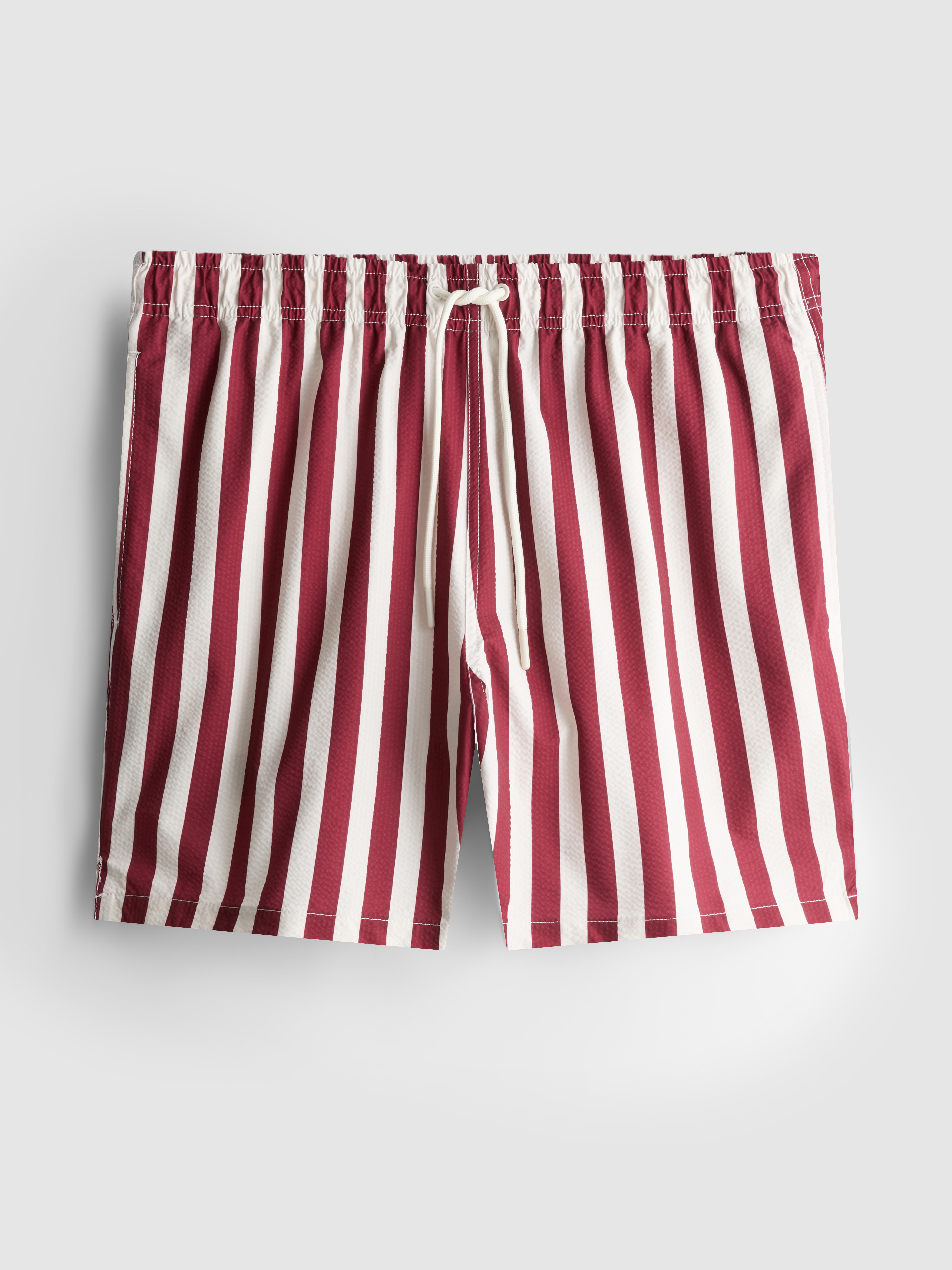 Deck Chair Stripe Swim Shorts