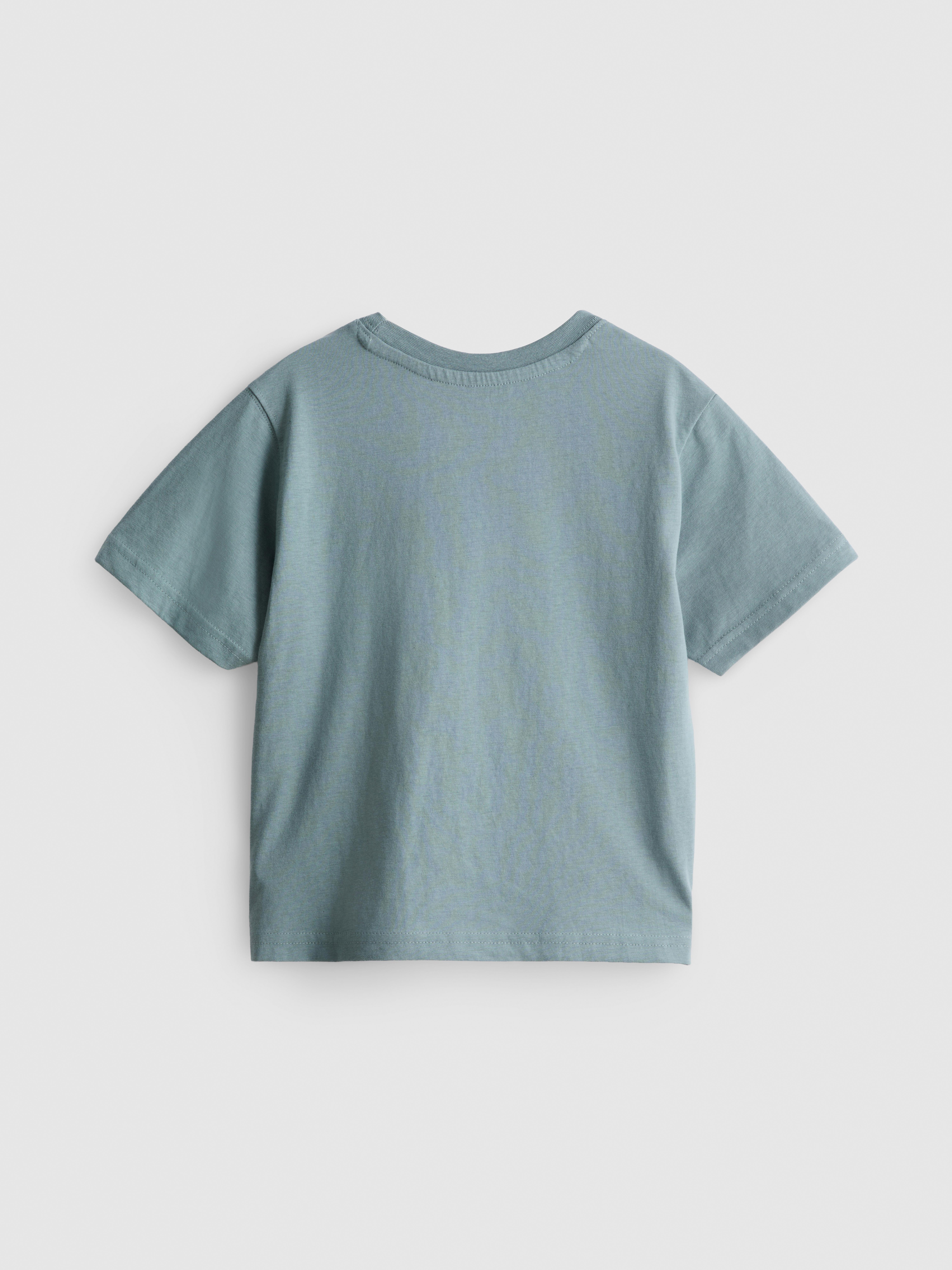 1.5-8yrs | Pure Cotton Washed T-Shirt