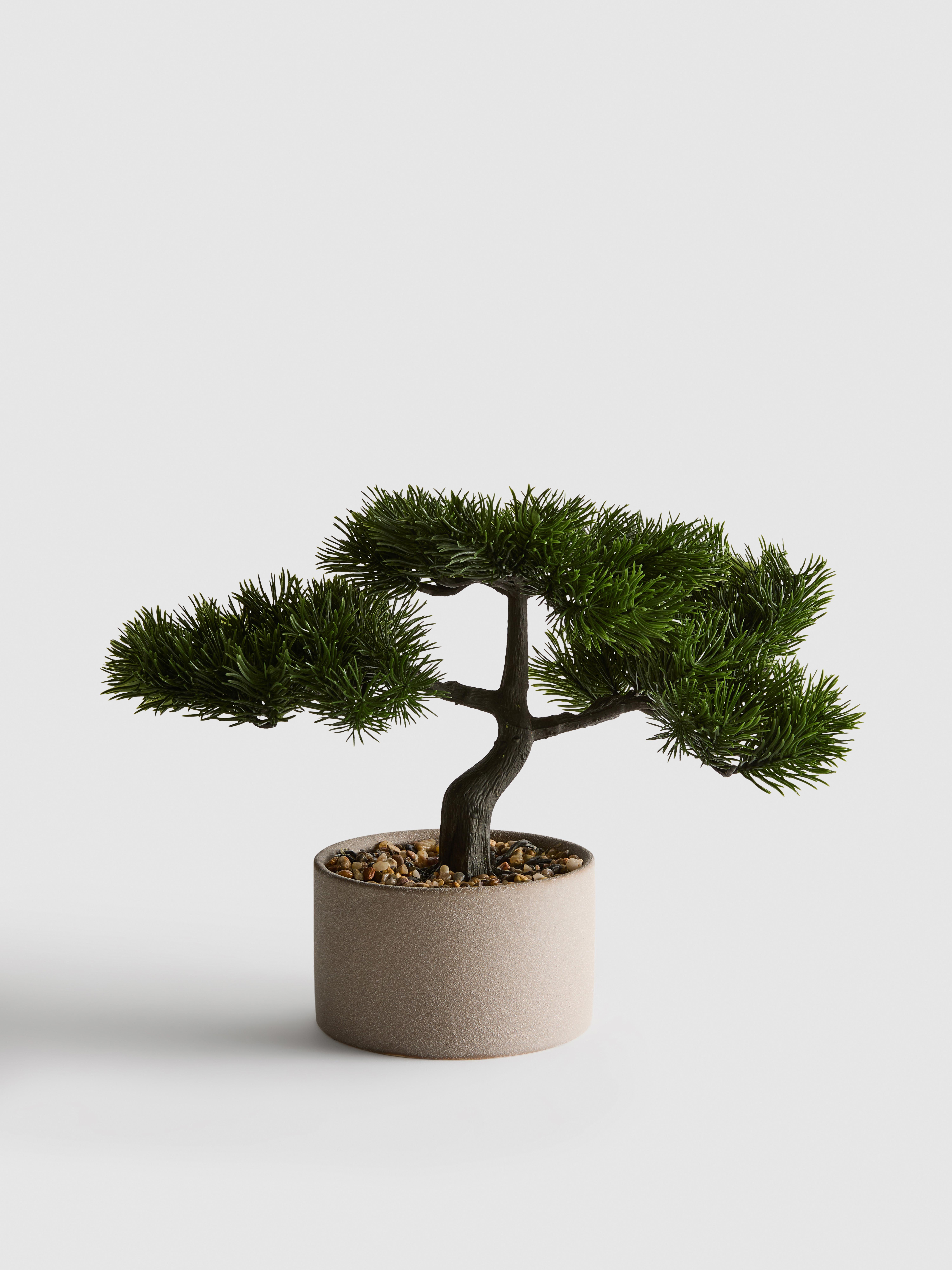 Faux Bonsai Tree Planter