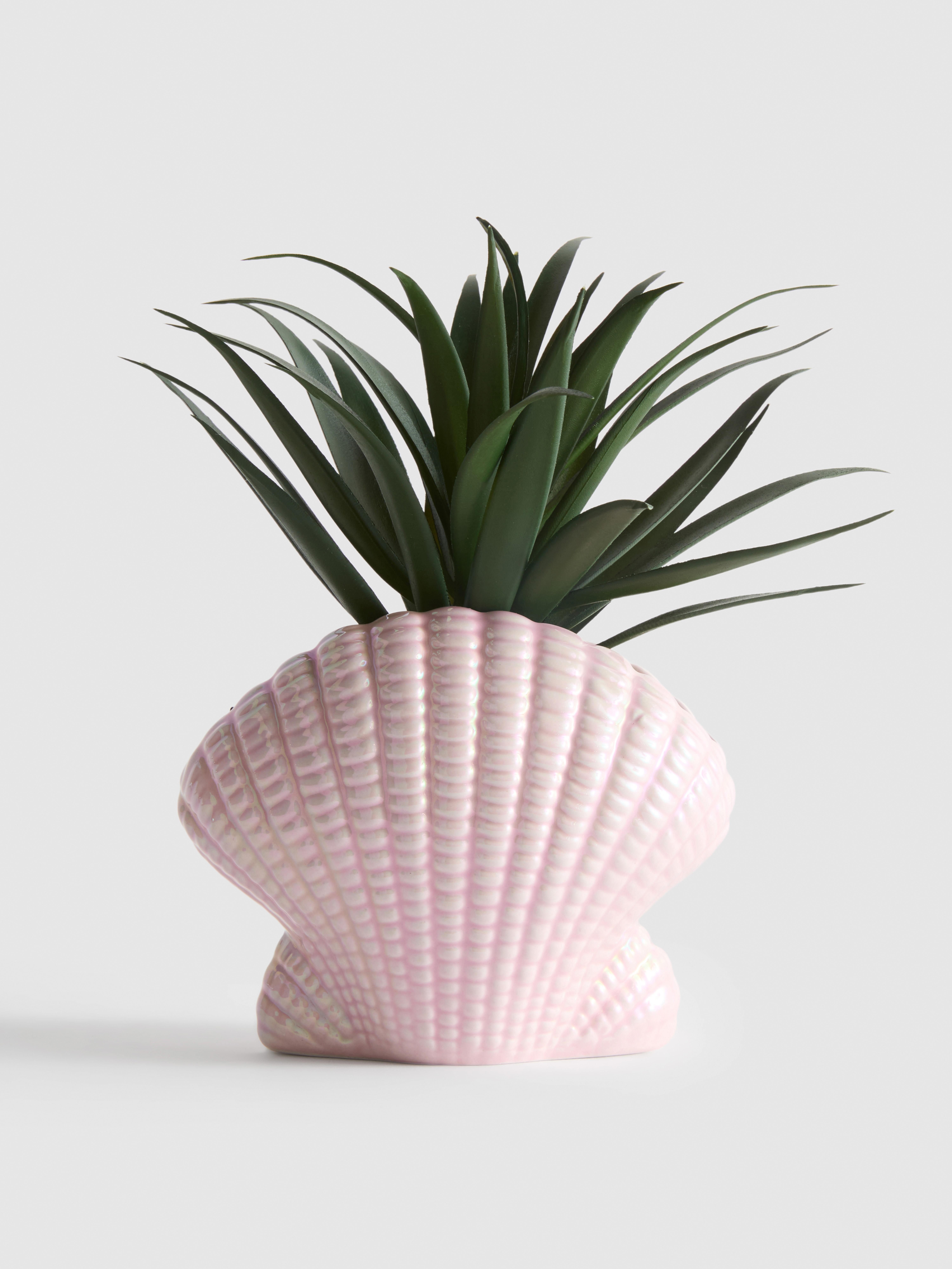 Pianta grassa artificiale in vaso a conchiglia