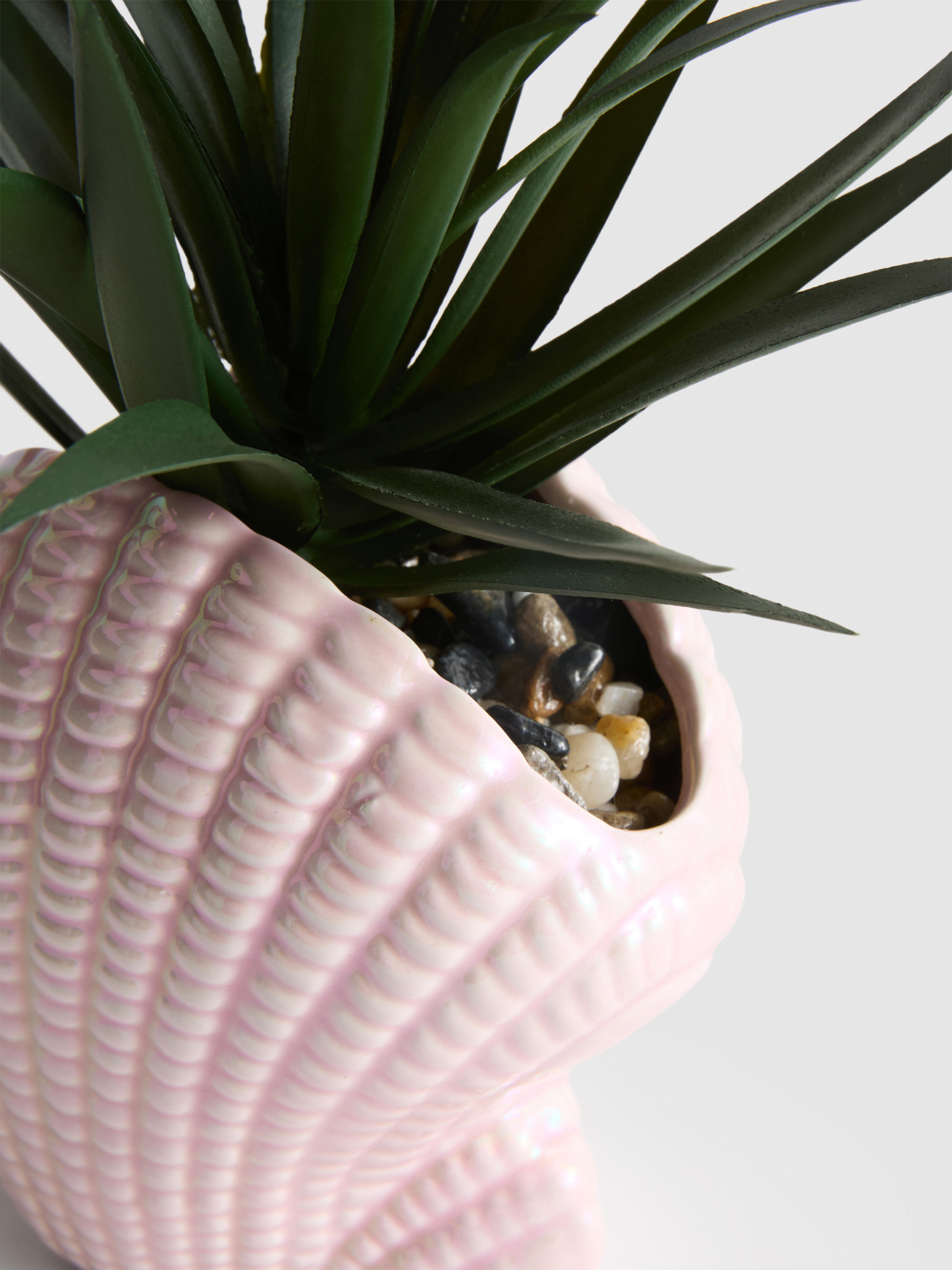 Pianta grassa artificiale in vaso a conchiglia