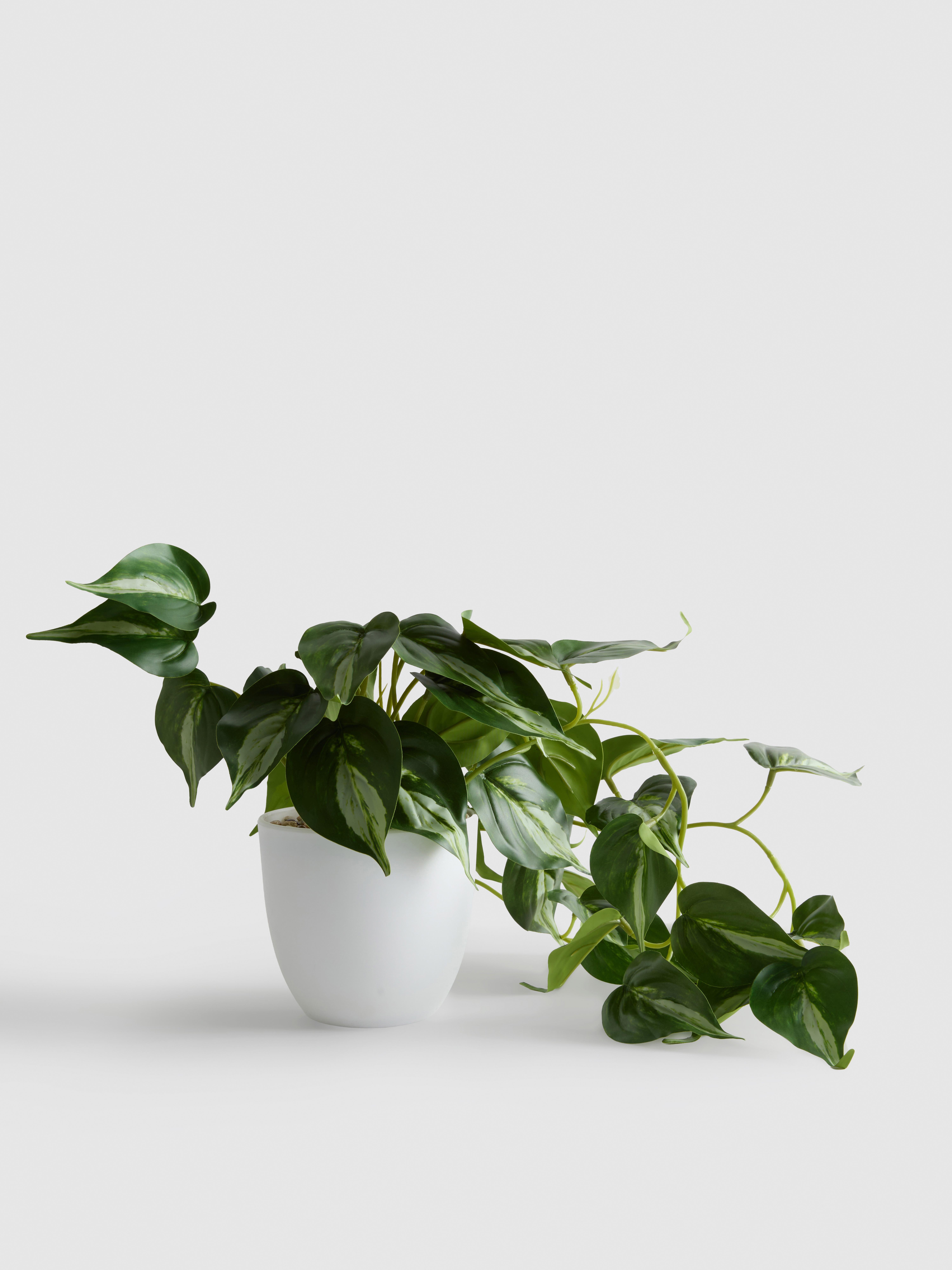 Filodendro artificial en maceta