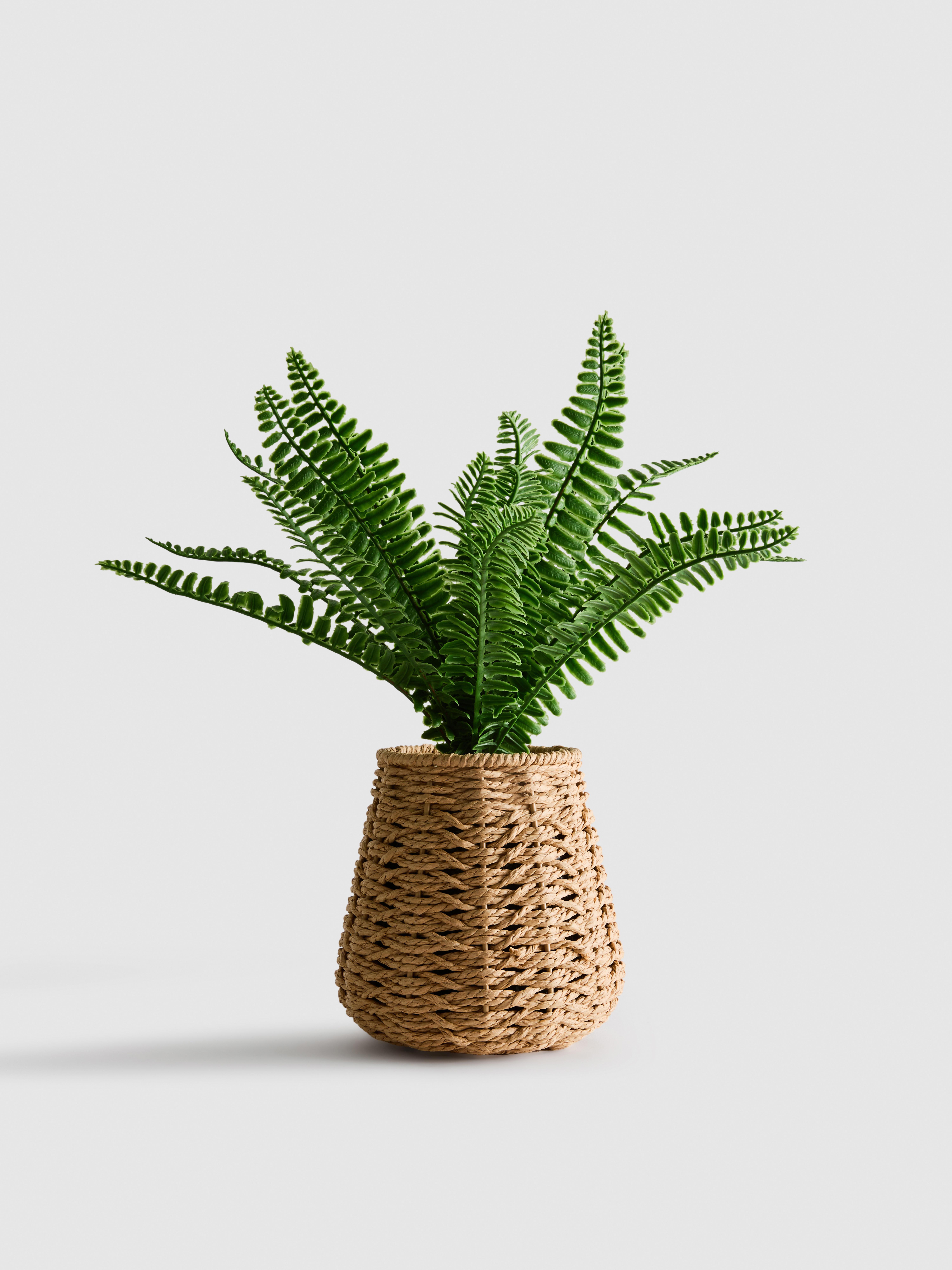 Umetna praprot v pletenem loncu