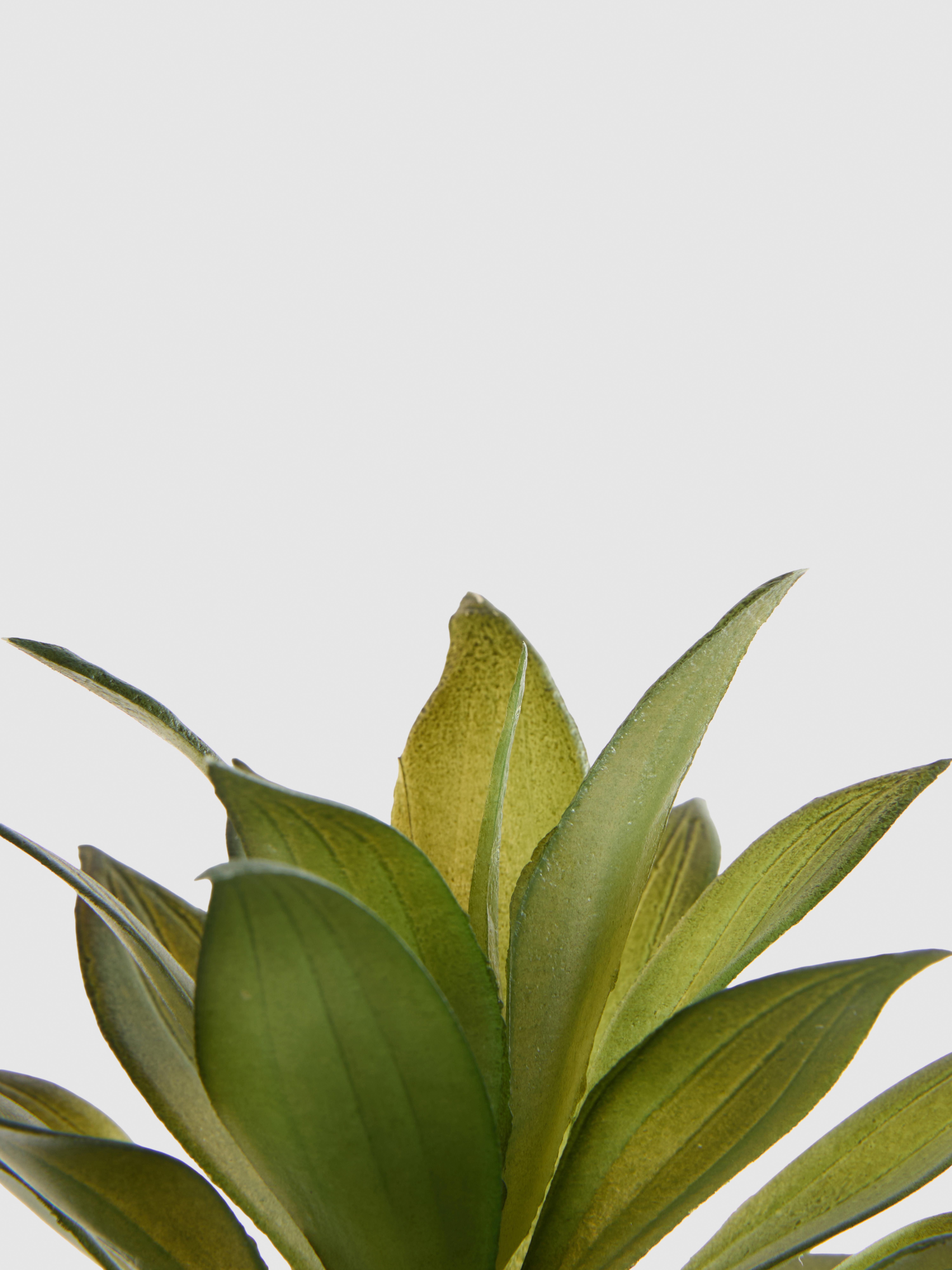 Mediterranean Faux Succulent In  Plant Pot