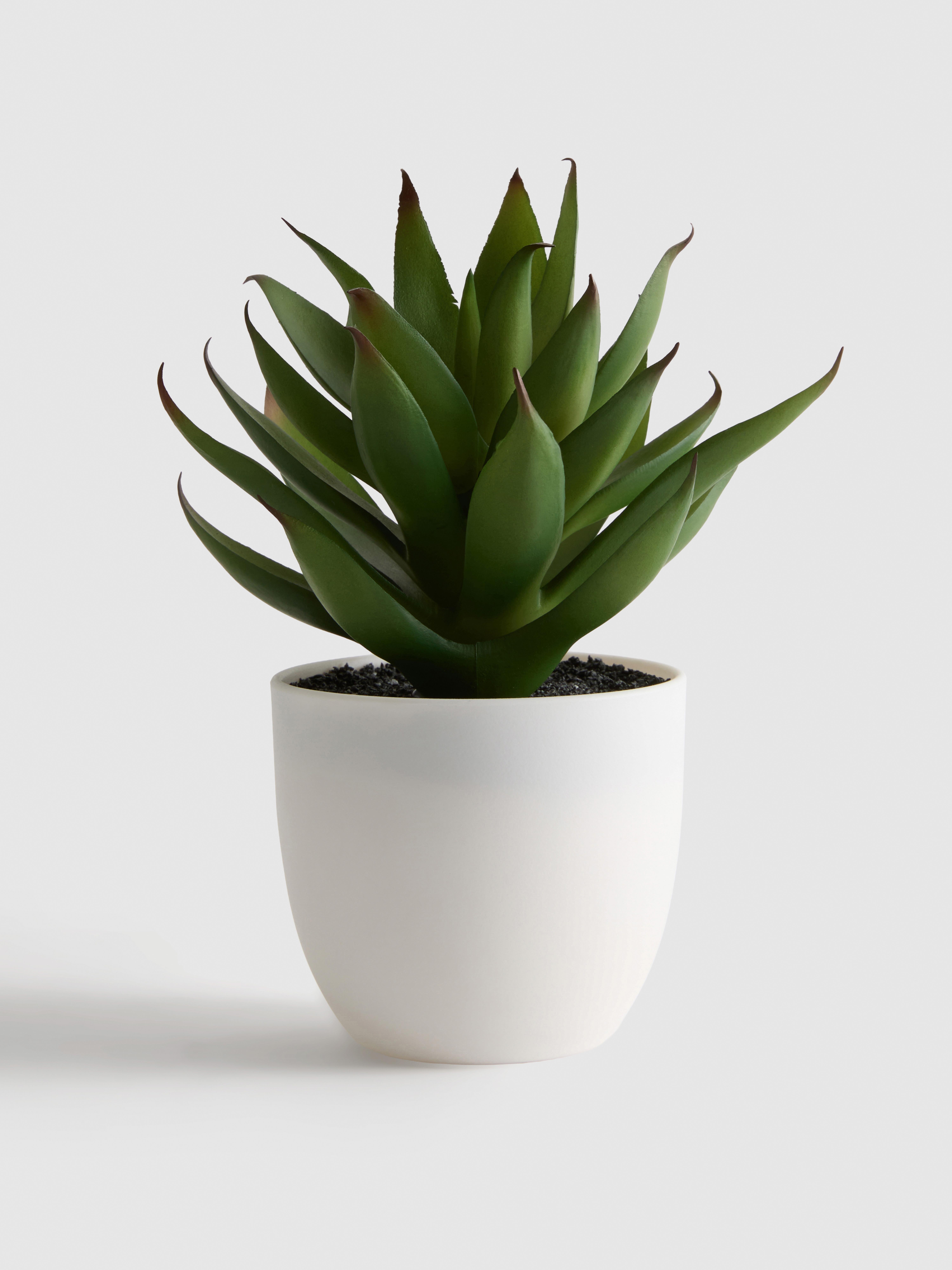 Faux Potted Succulent Arrangement