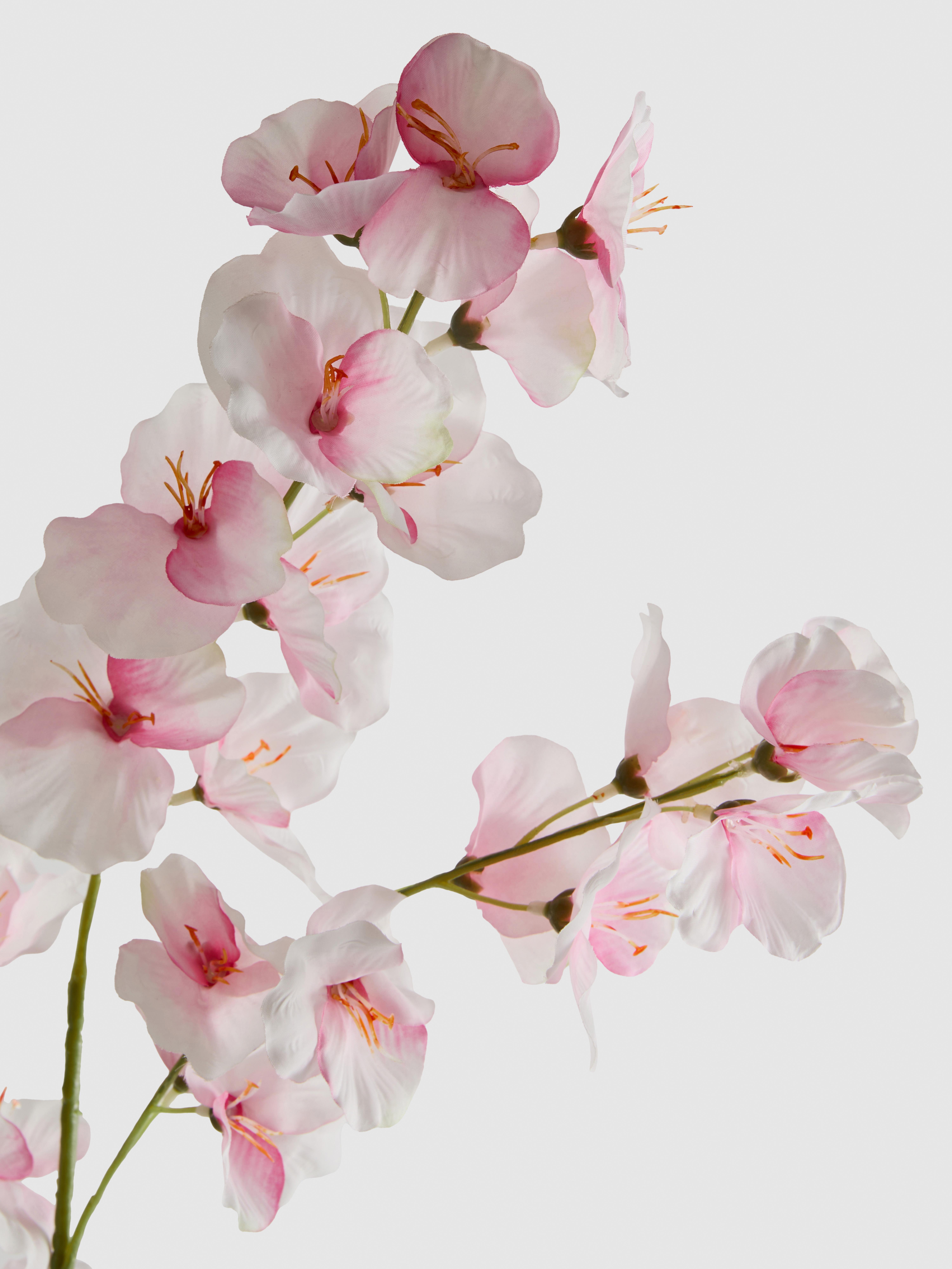 Okrasno posamezno steblo umetne gladiole