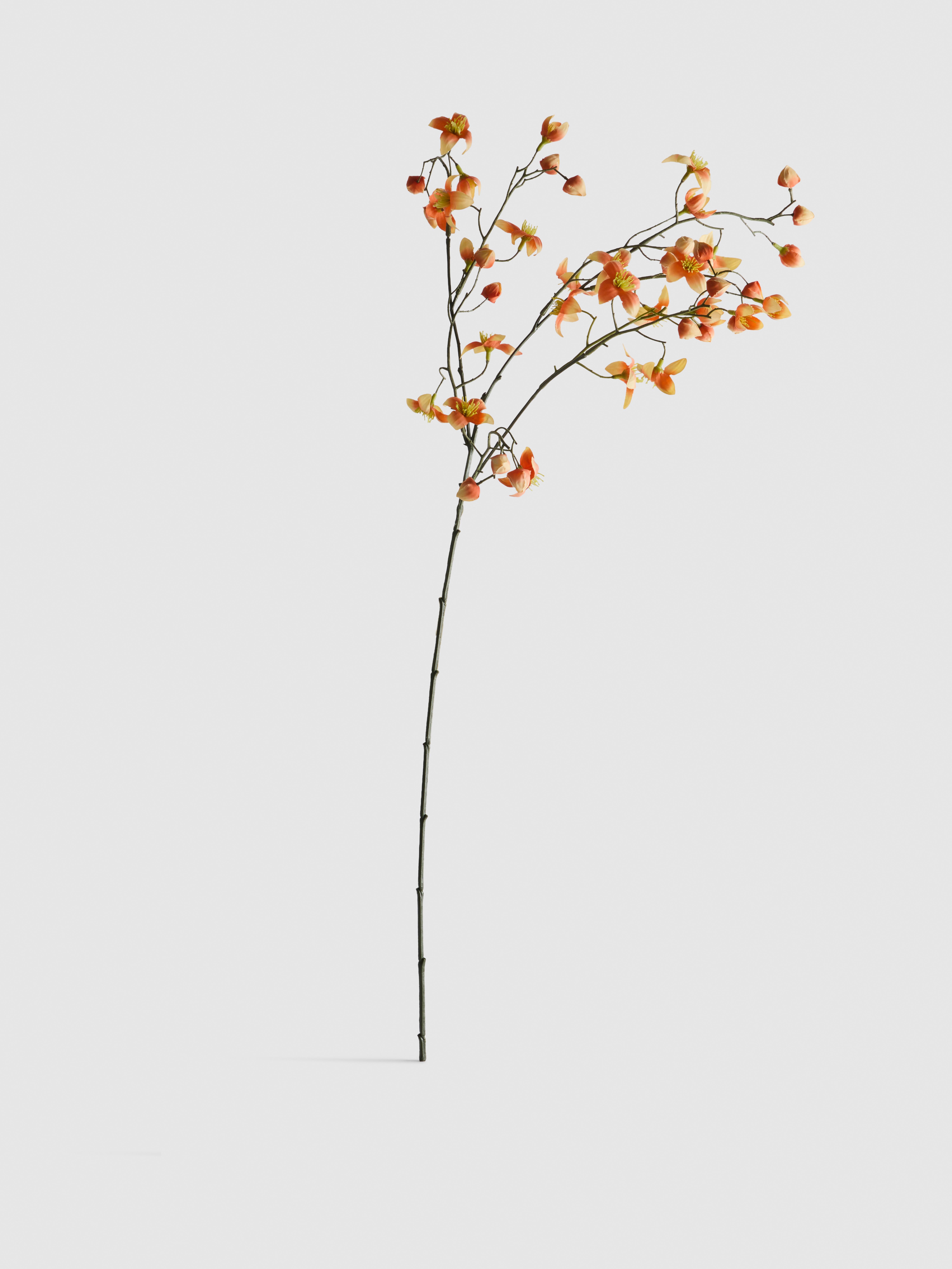 Enojno steblo umetnega srobota